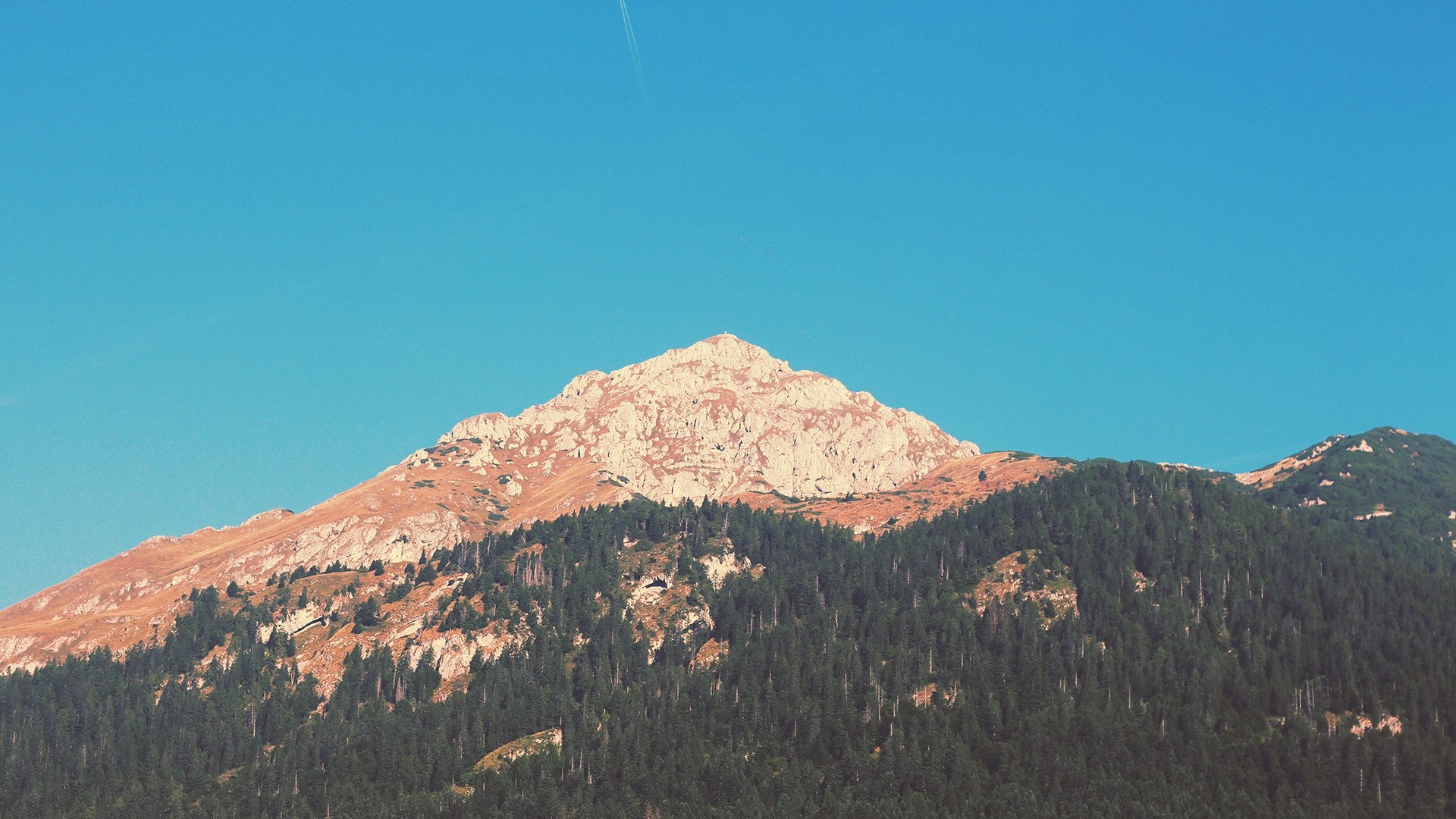 Mountain peak with trees and blue sky HD Wallpaper