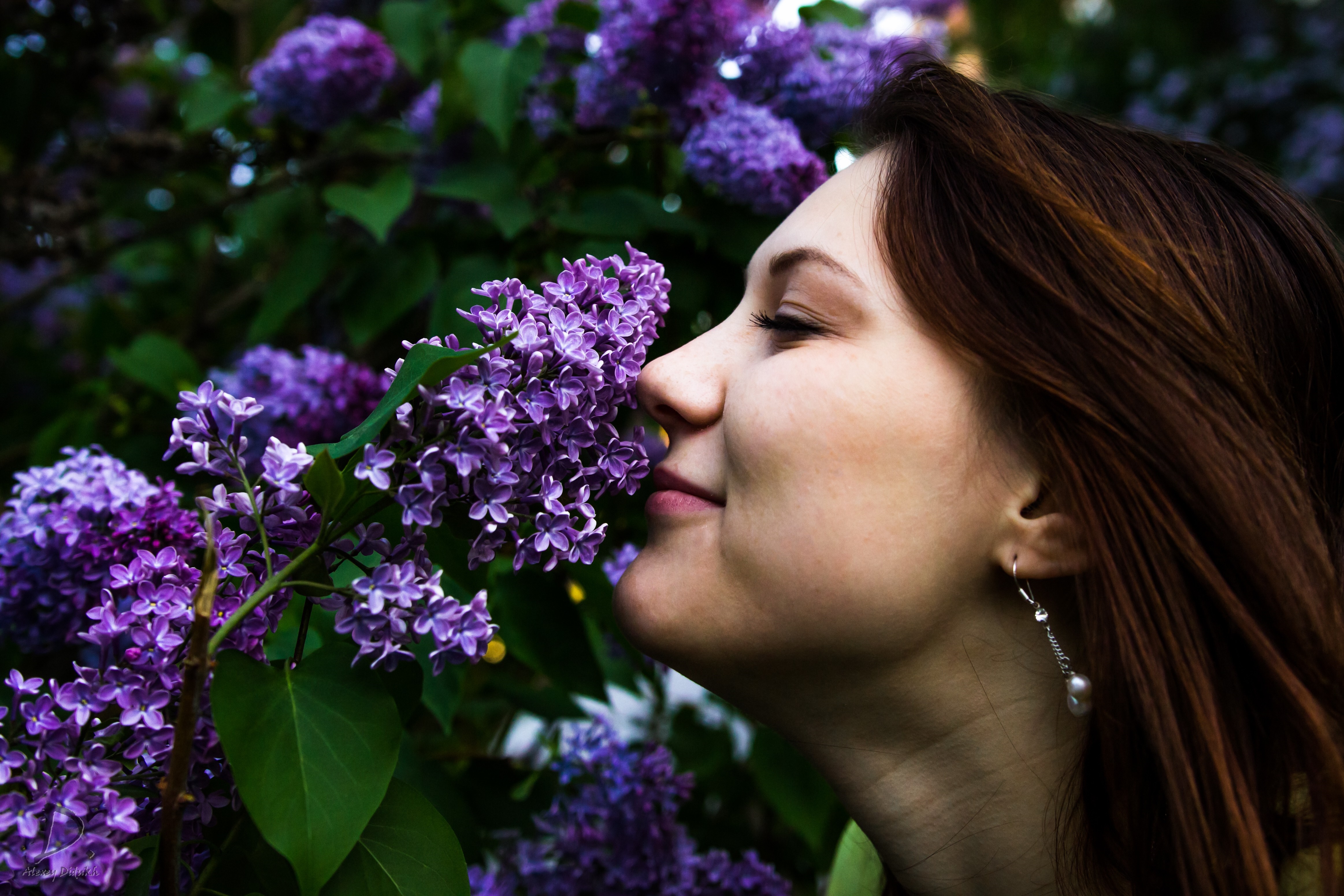 Woman smelling purple lilac flowers HD Wallpaper