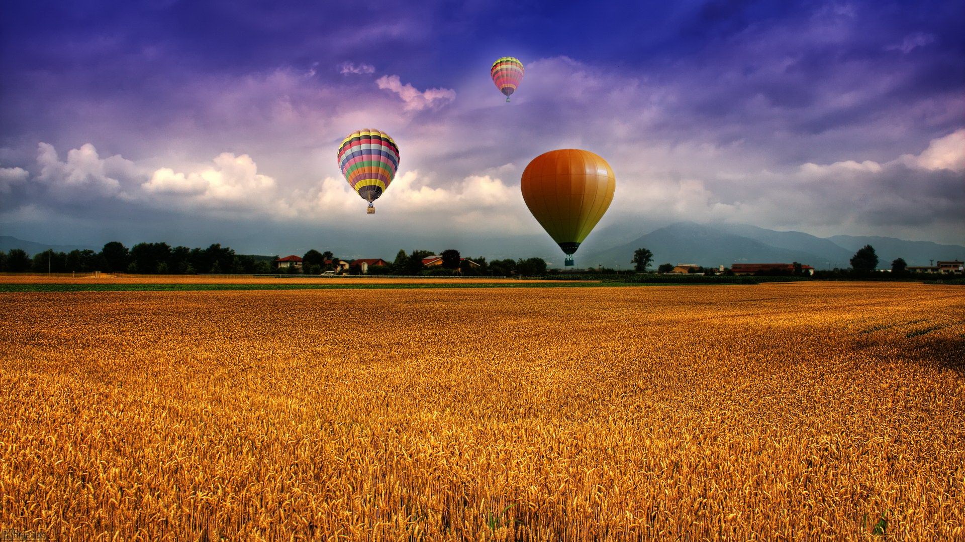 Hot air balloons over a wheat field at sunset HD Wallpaper