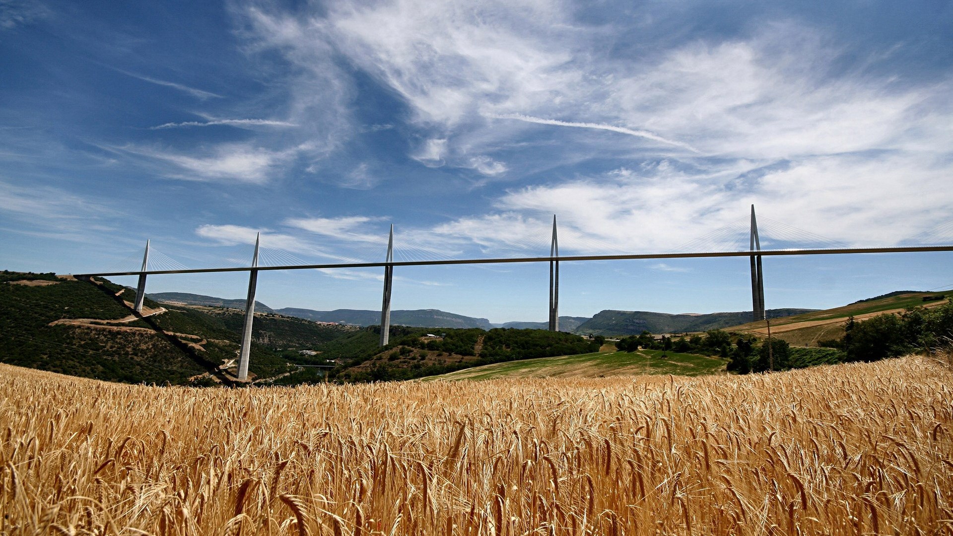 Millau Viaduct bridge over a wheat field HD Wallpaper