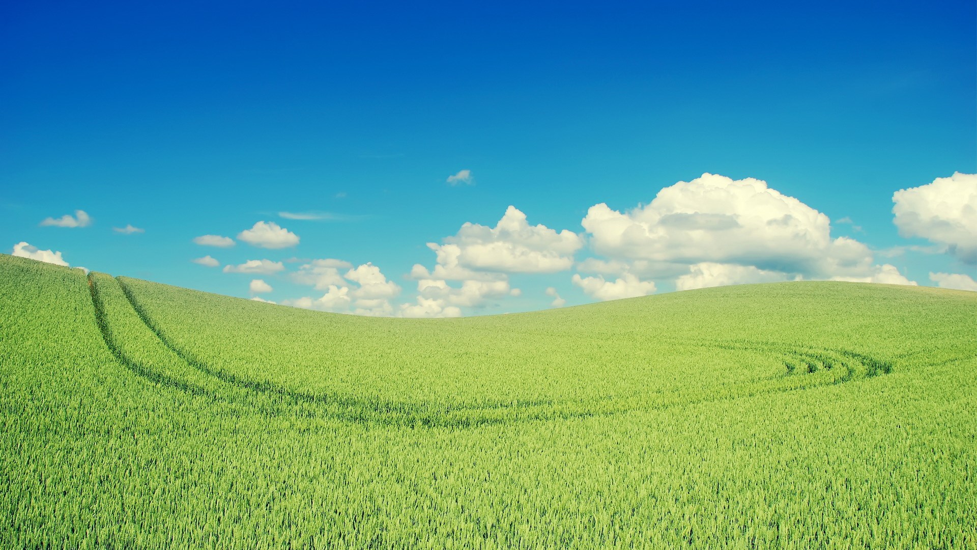 Green rolling hills under a blue sky with clouds HD Wallpaper