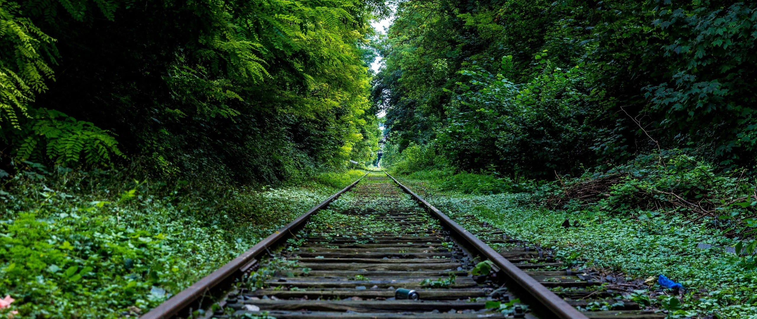Abandoned railway tracks in a dense green forest HD Wallpaper