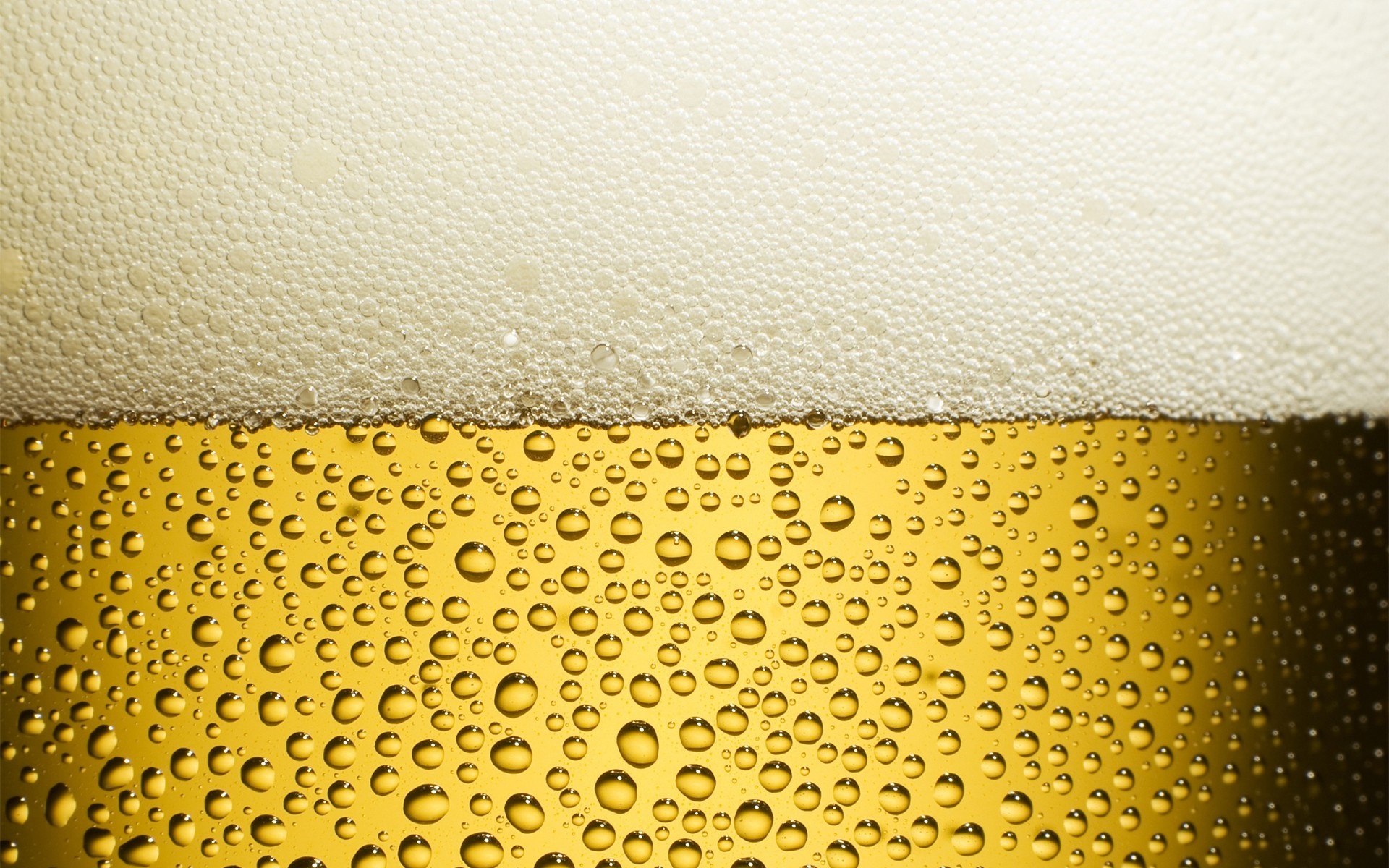 Close up of beer with foam and bubbles HD Wallpaper