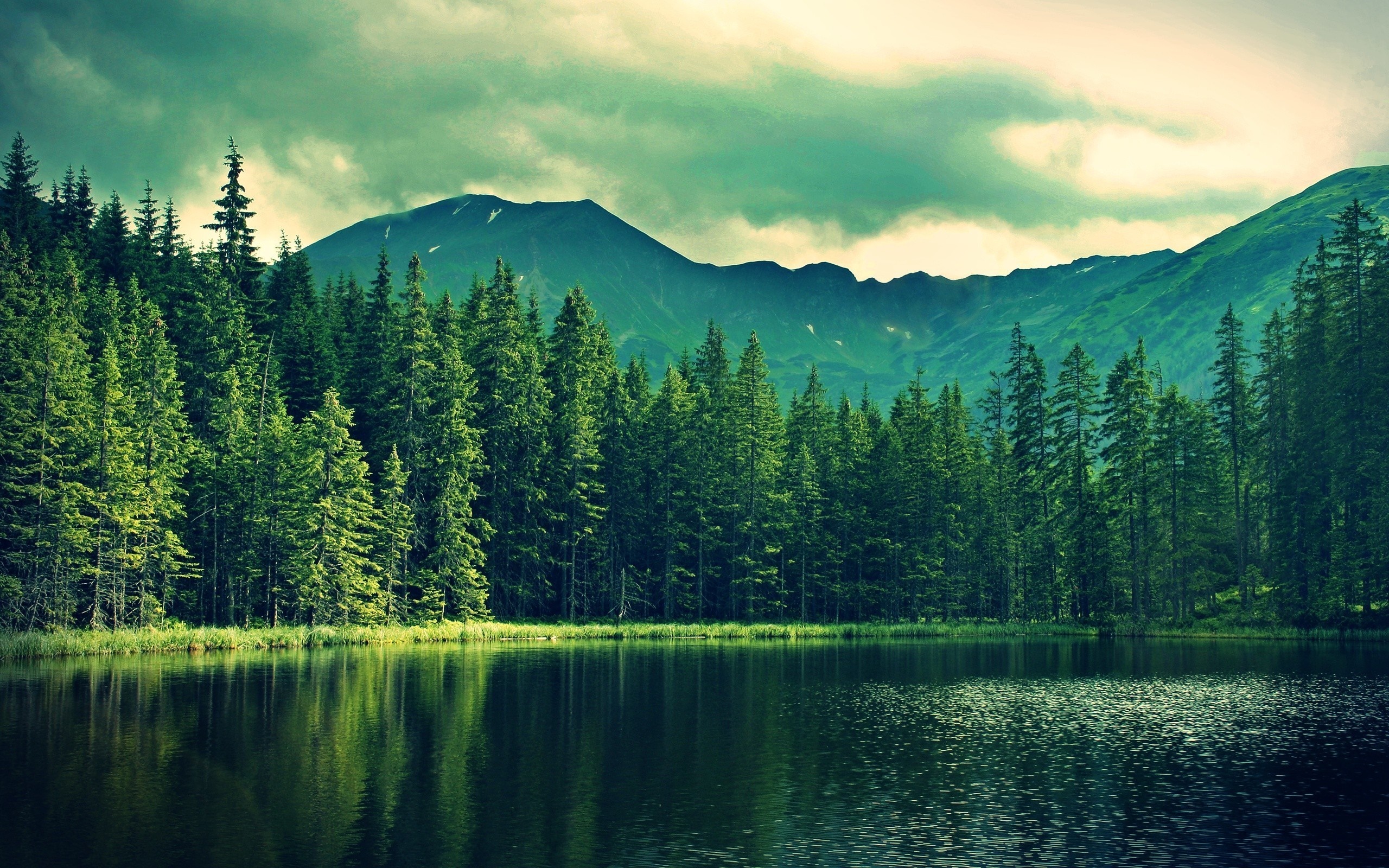 Lake and forest with mountains under cloudy sky HD Wallpaper