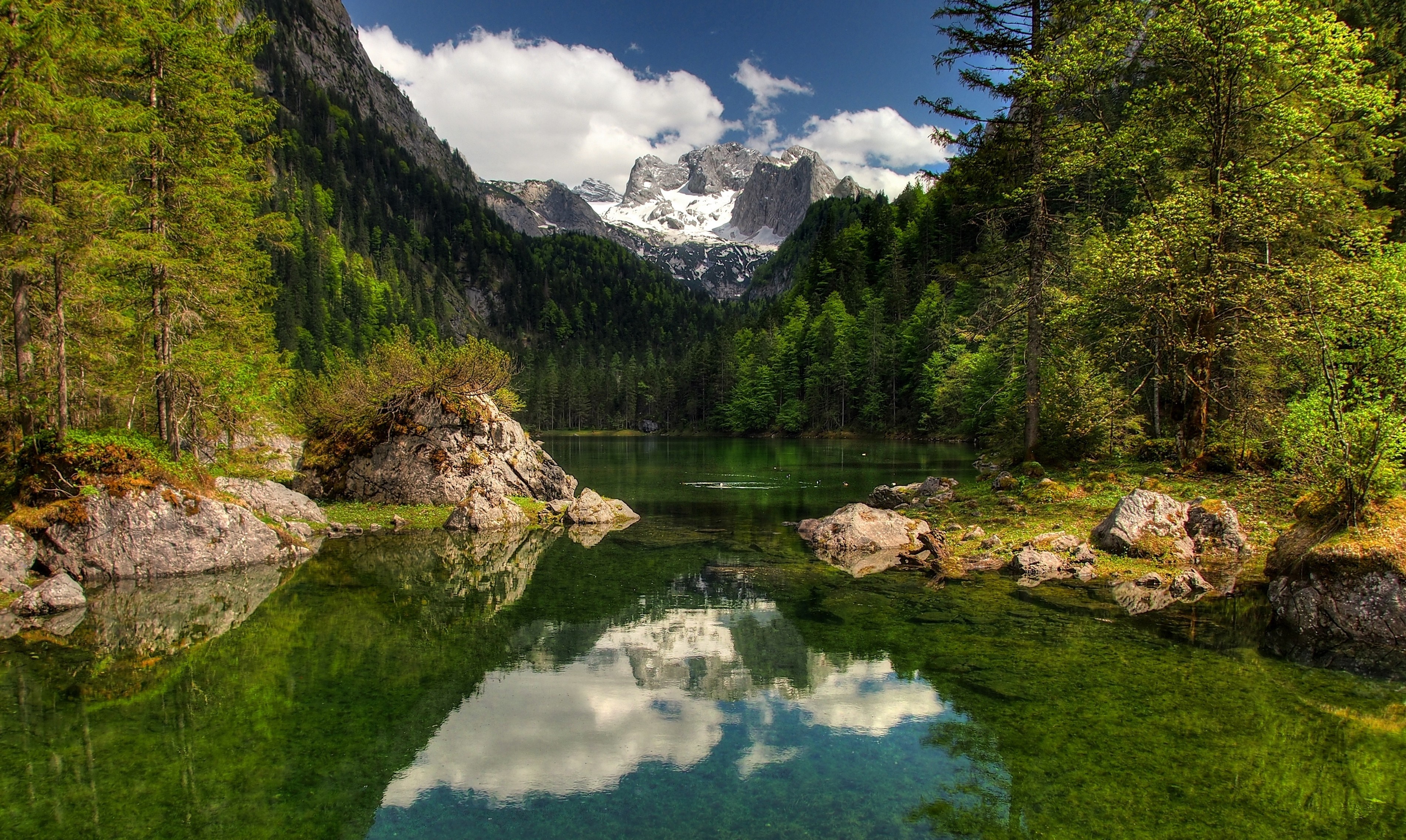 Mountain lake with forest and snow-capped peaks HD Wallpaper
