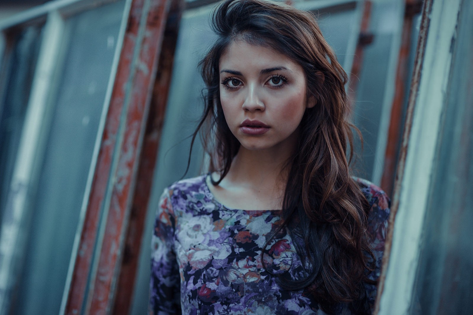 Woman with long brown hair wearing a floral dress HD Wallpaper