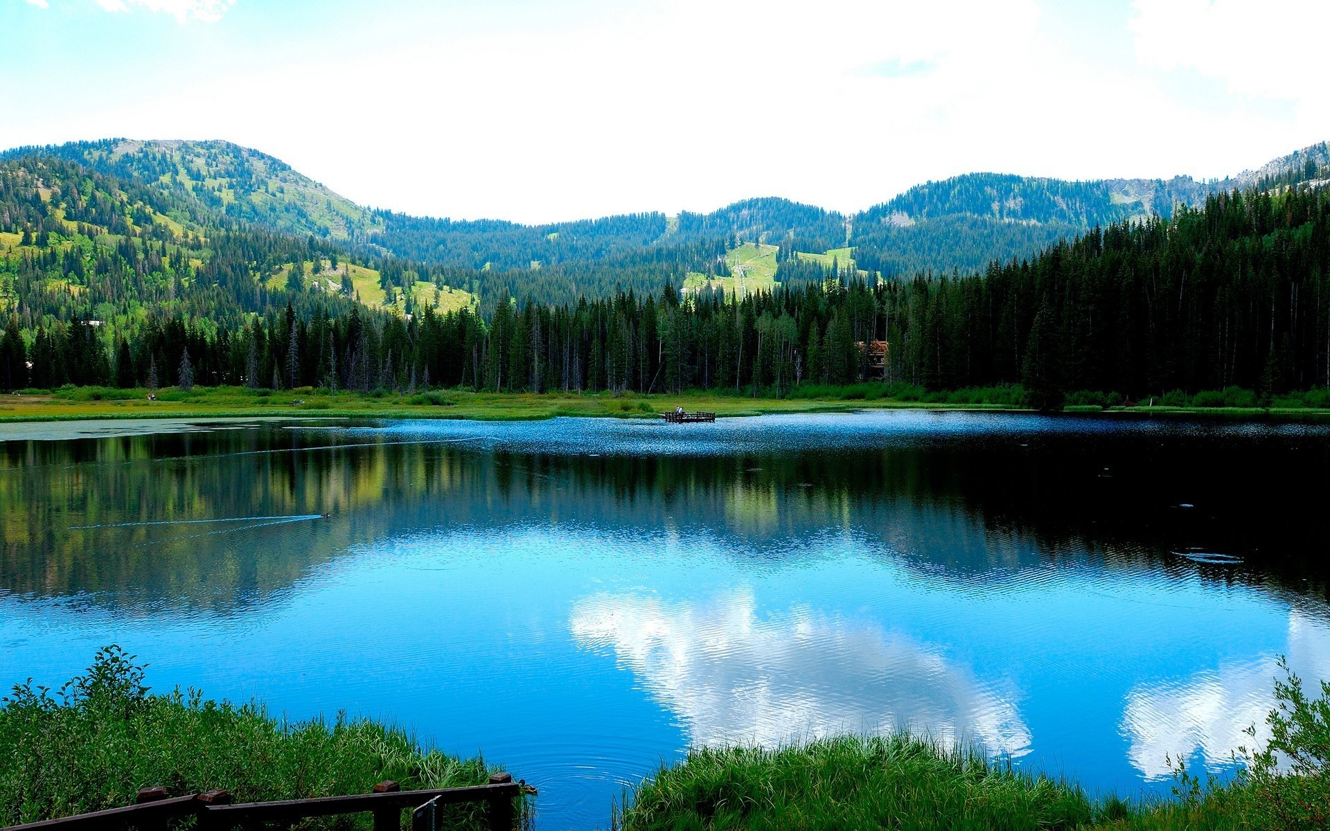 Lake reflection with mountains and forest HD Wallpaper