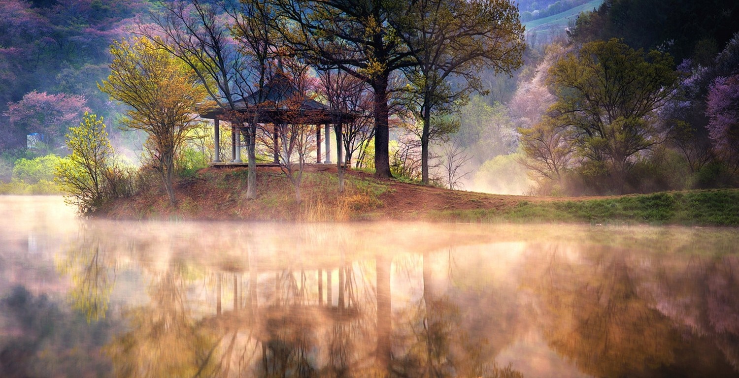 Gazebo by a misty lake in a forest during spring HD Wallpaper