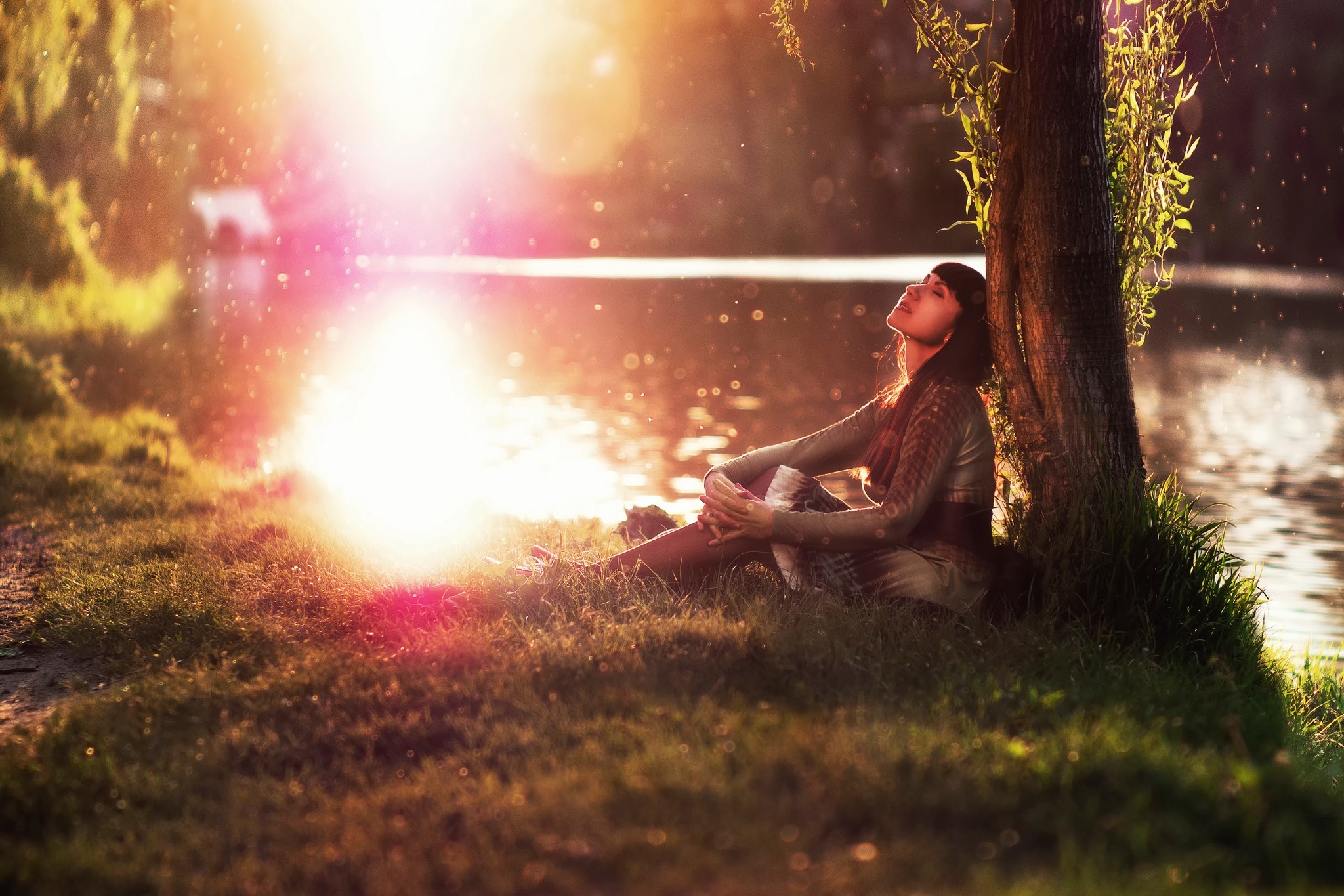 Woman sitting by a tree near a lake in sunlight HD Wallpaper