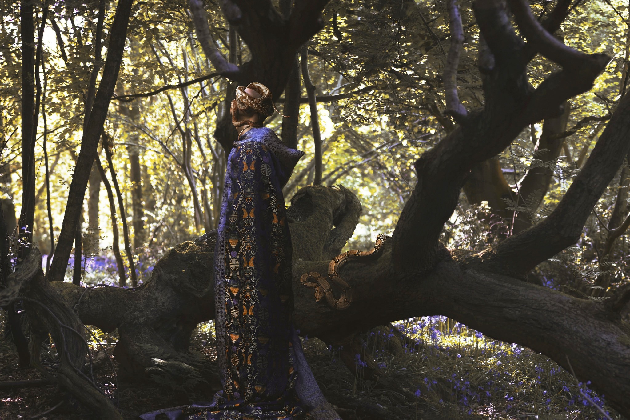 Woman in kimono in a forest with a snake HD Wallpaper