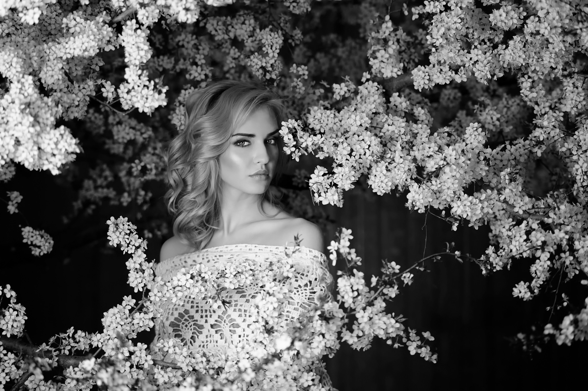 Woman in a dress surrounded by cherry blossoms HD Wallpaper