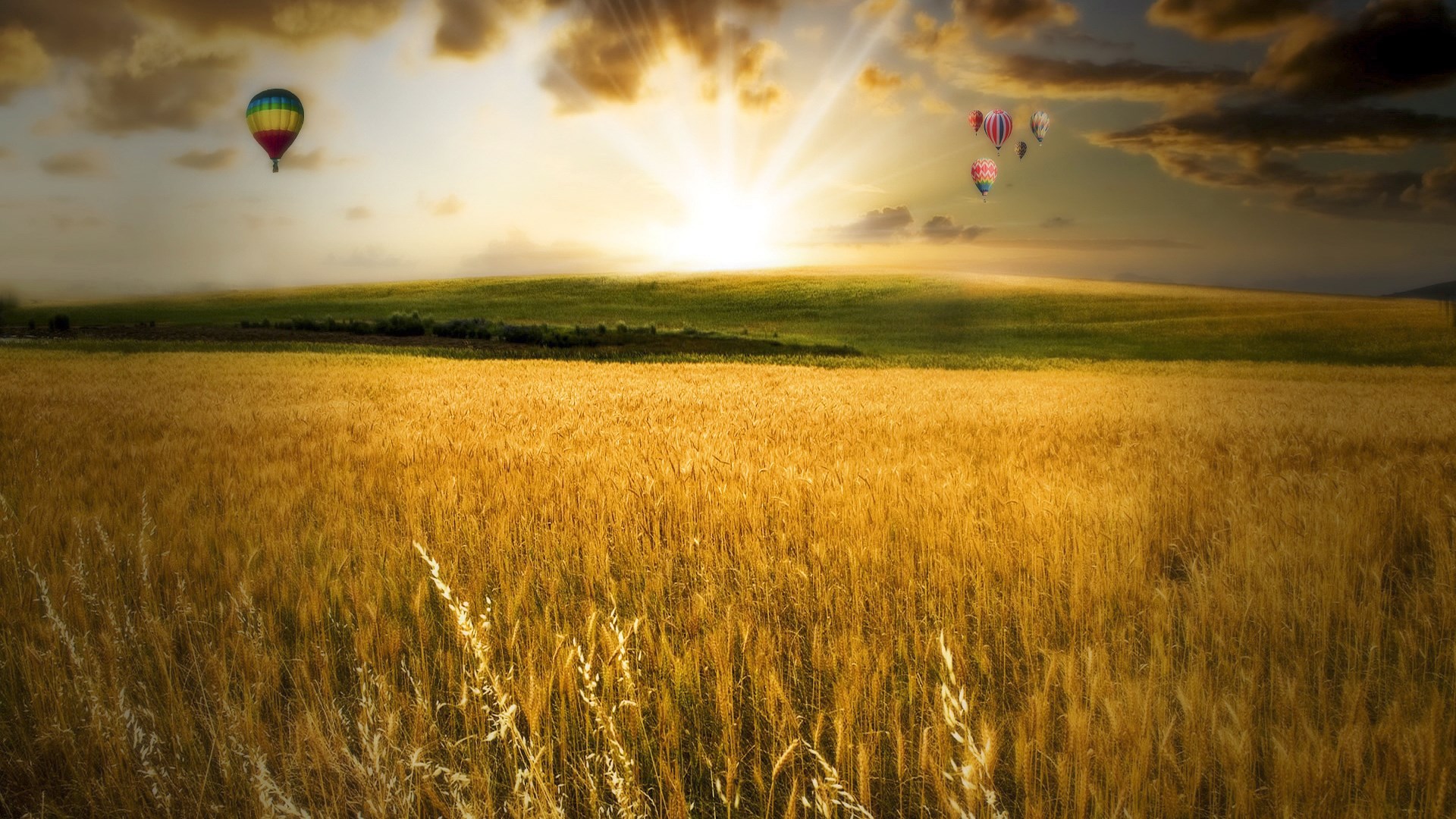 Hot air balloons over a wheat field at sunset HD Wallpaper