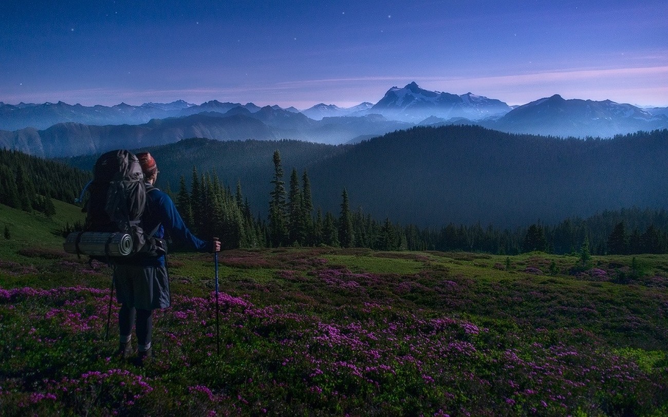 Hiker with backpack in a field of wildflowers overlooking mountains HD Wallpaper