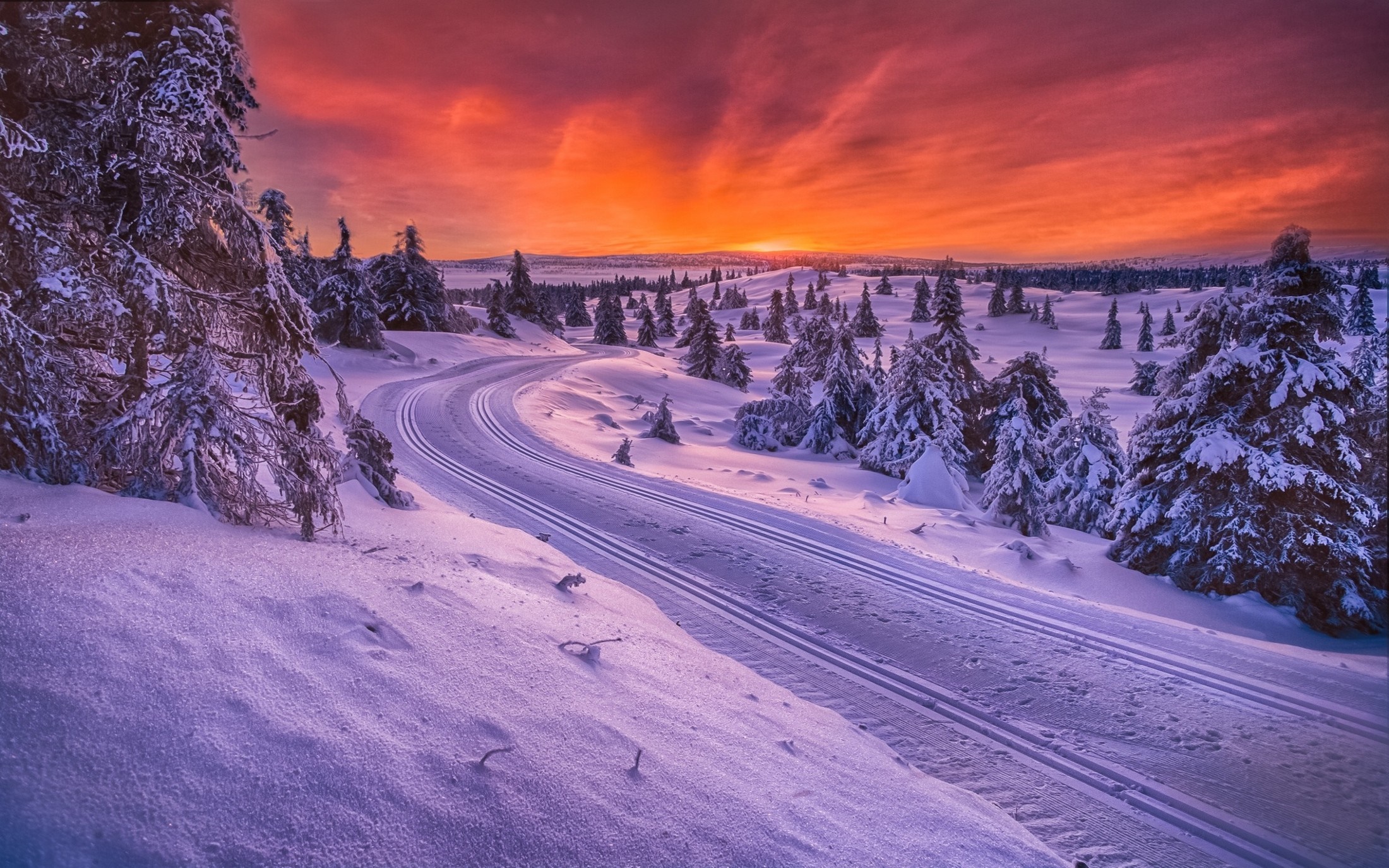 Winter sunset over a snowy landscape with cross-country ski tracks HD Wallpaper
