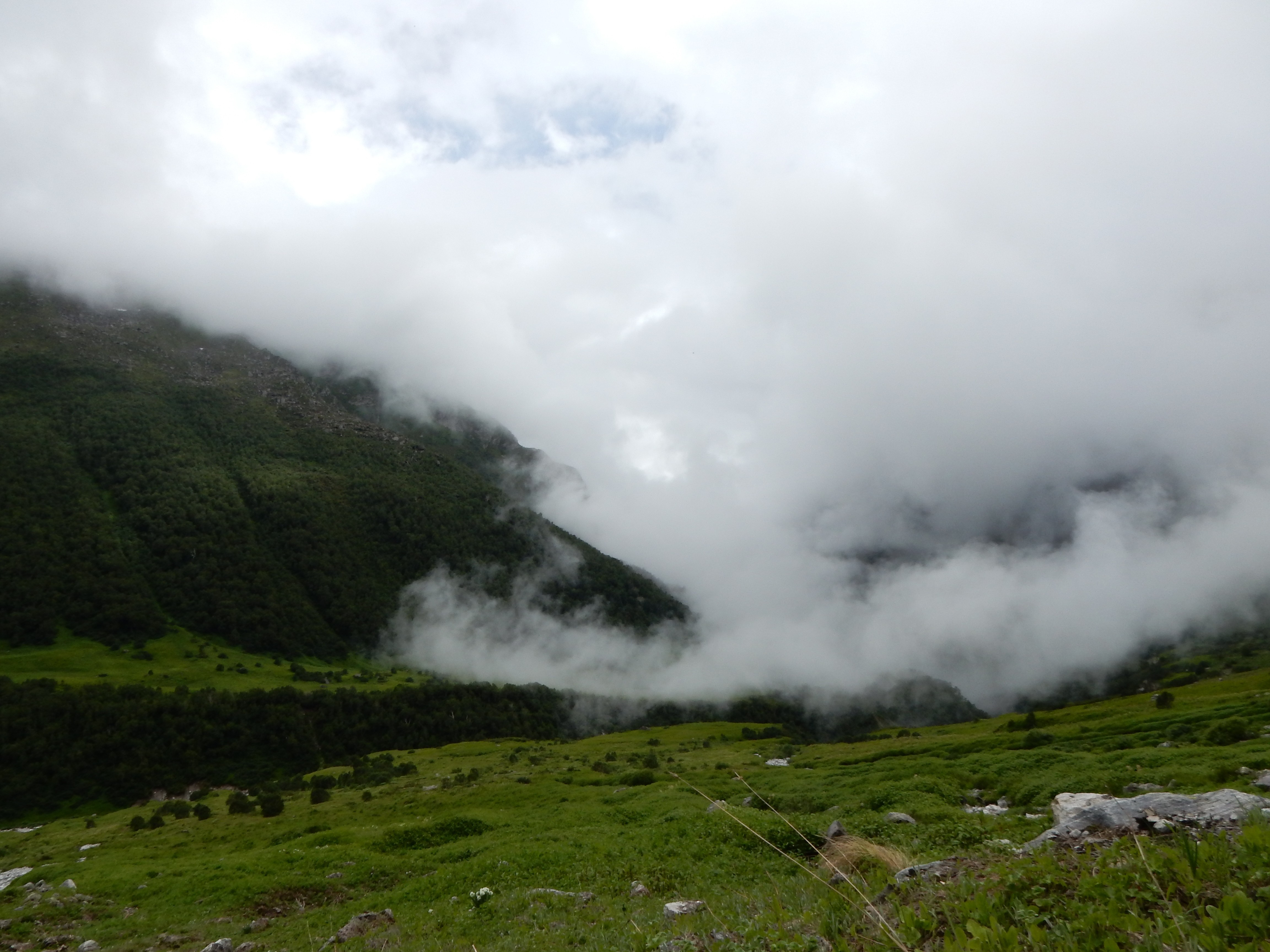 Misty mountain valley with green grasslands HD Wallpaper
