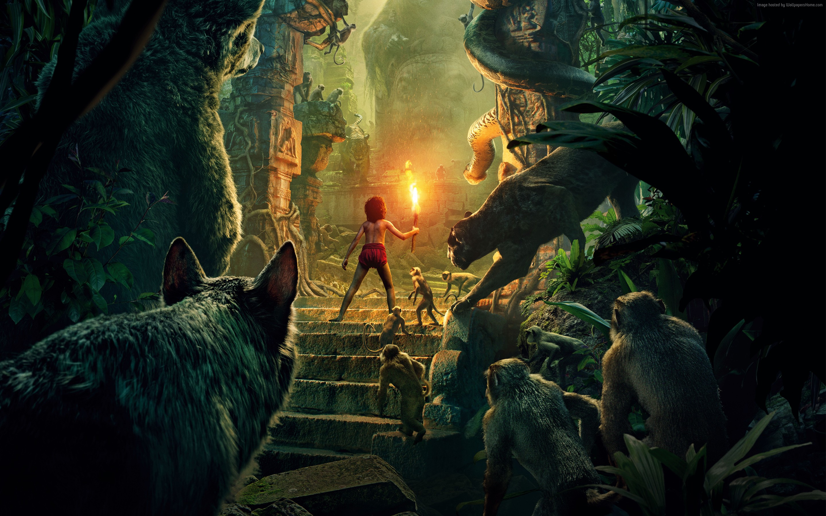Mowgli and animals from The Jungle Book HD Wallpaper