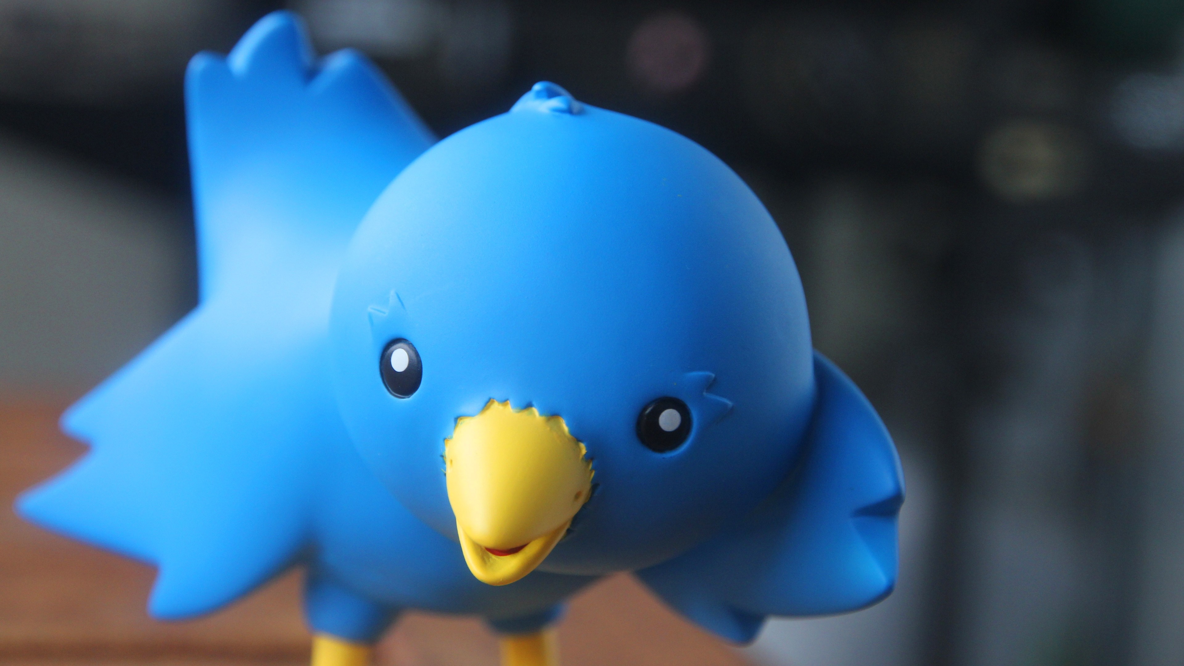 Blue Twitter bird toy HD Wallpaper