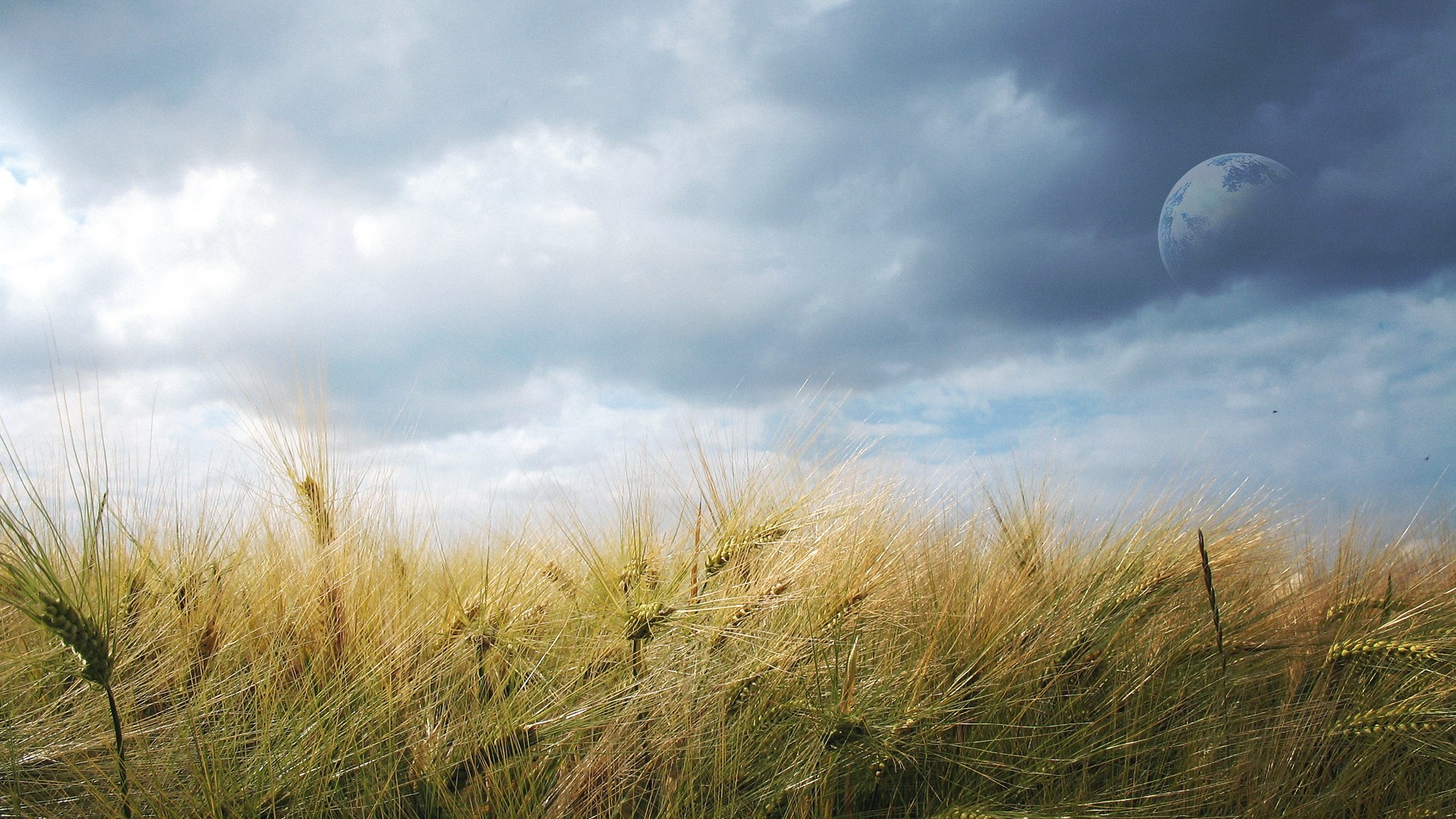 Wheat field under cloudy sky with a planet HD Wallpaper