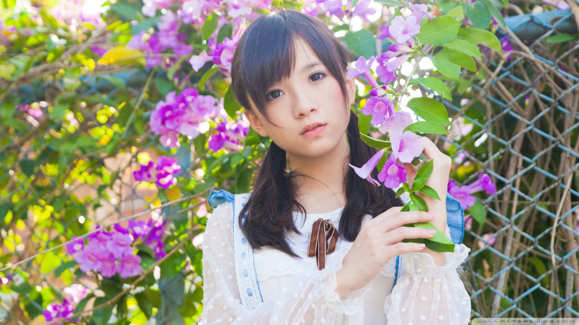 Young Asian woman with pigtails in a white dress among purple flowers HD Wallpaper