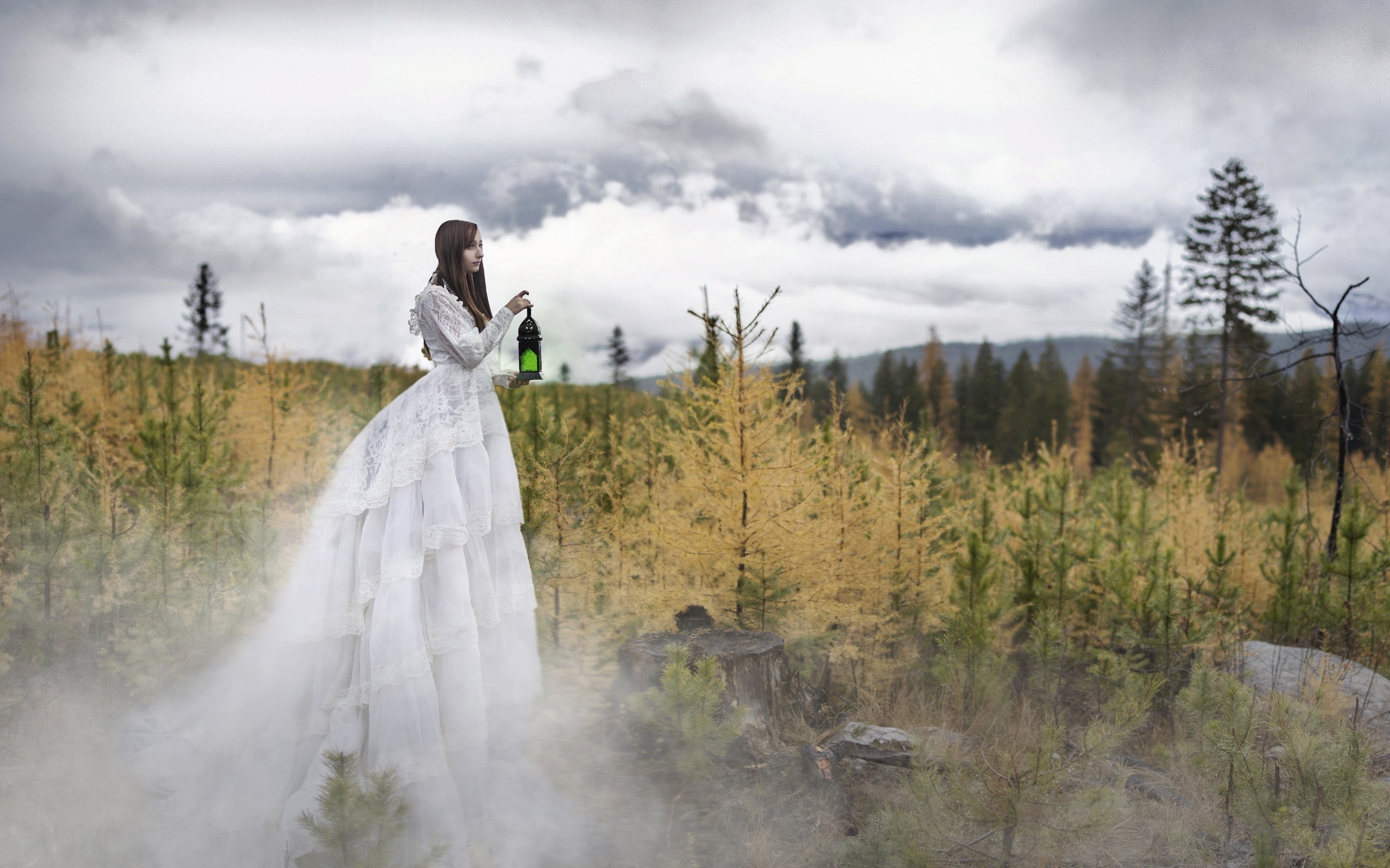 Woman in white dress holding a lantern in a misty forest HD Wallpaper