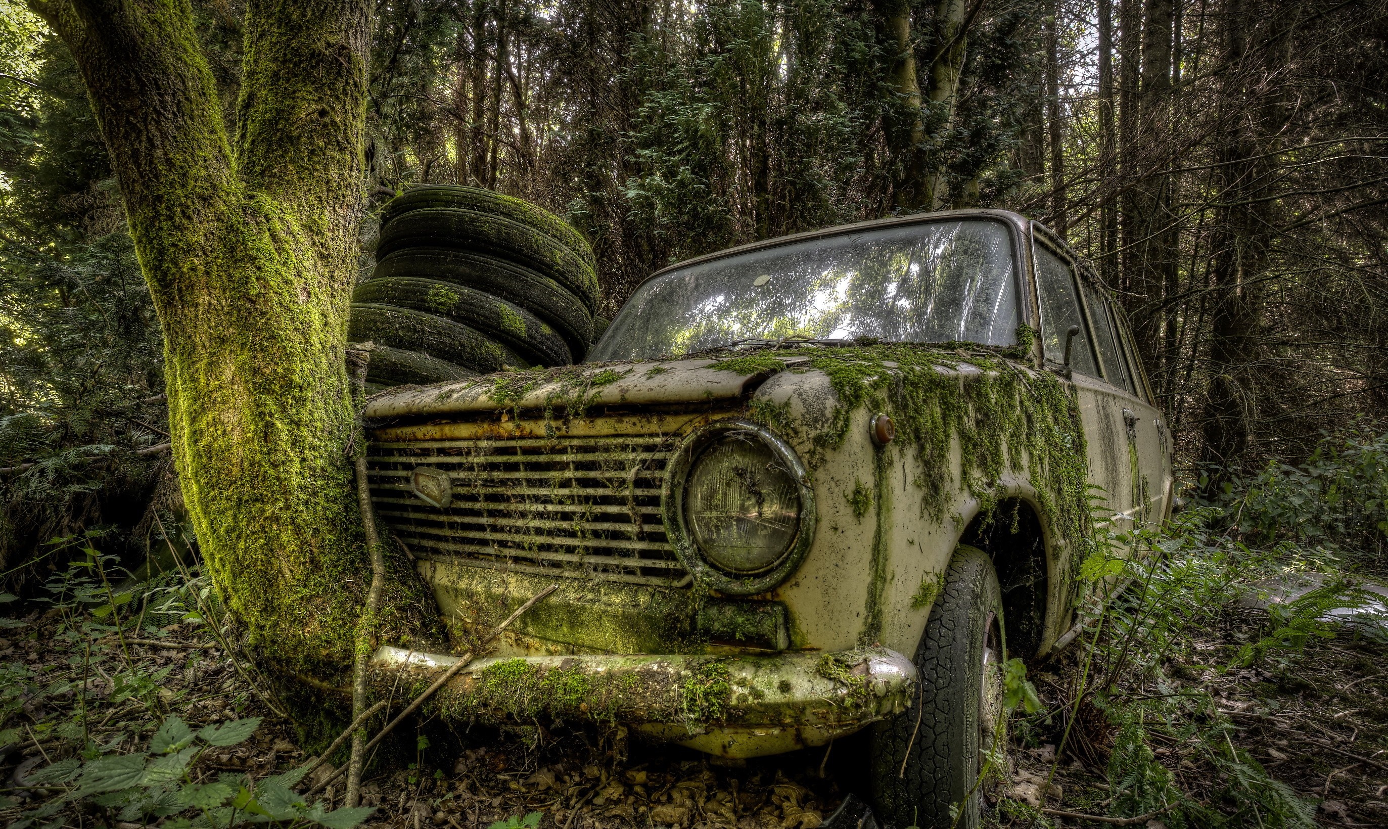 Abandoned vintage car covered in moss in a forest HD Wallpaper