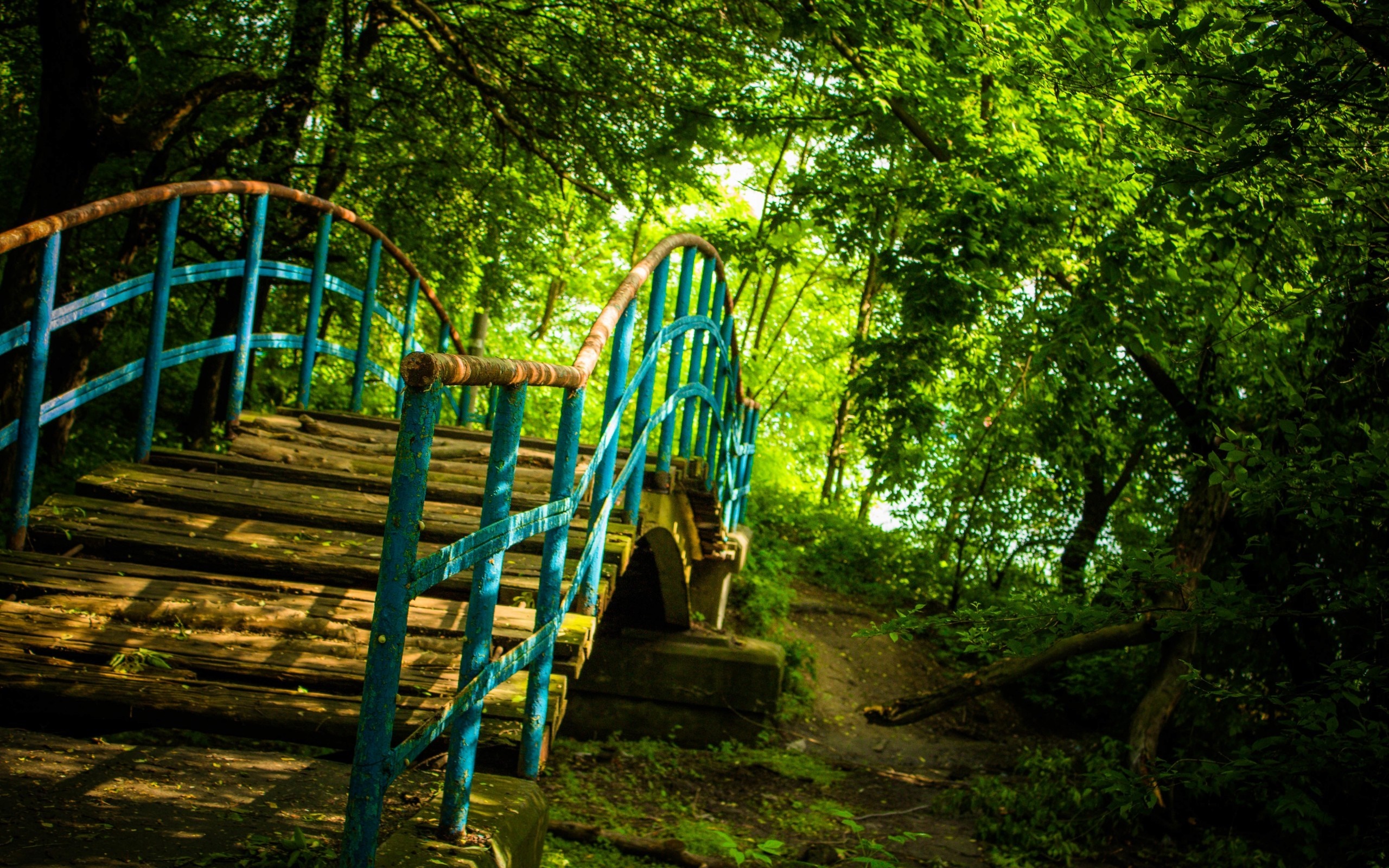 Wooden bridge with blue railings in a sunlit forest HD Wallpaper