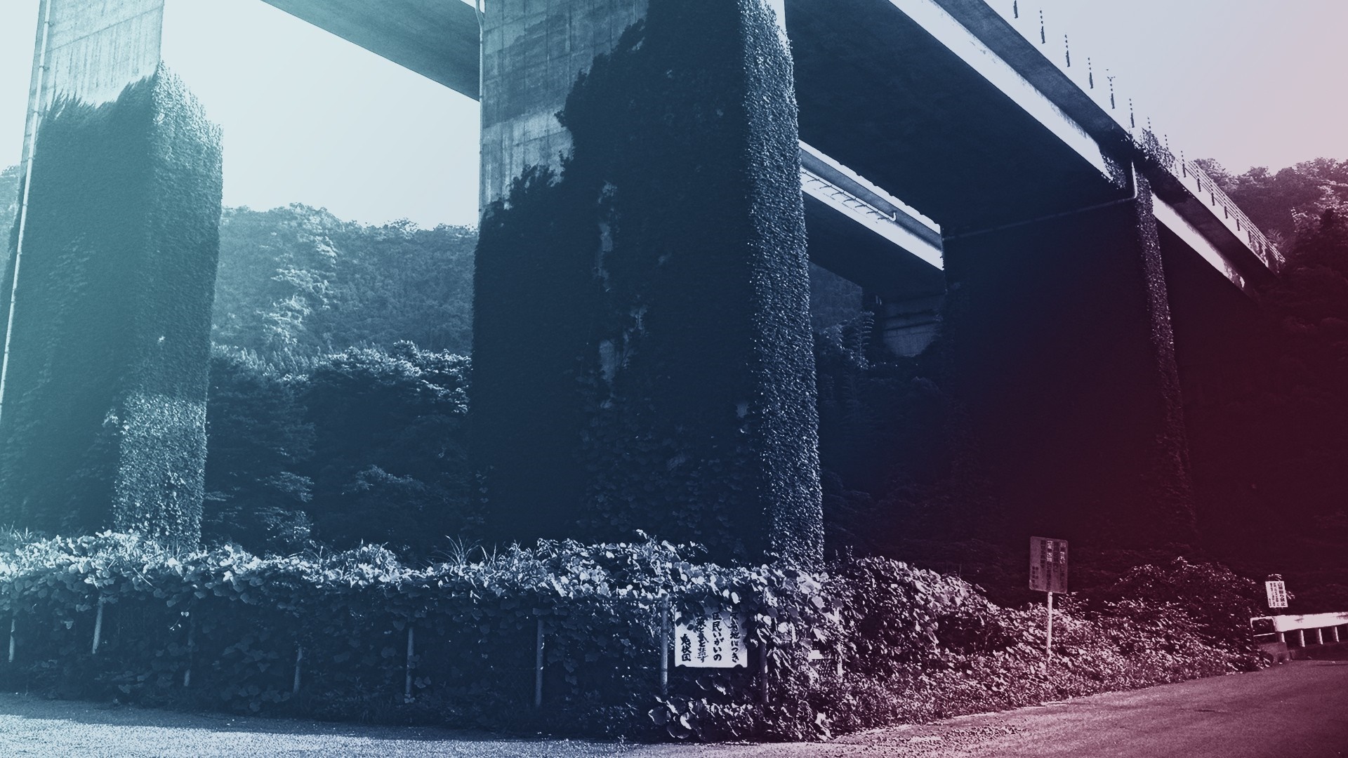 Overgrown bridge pillars in Japan HD Wallpaper