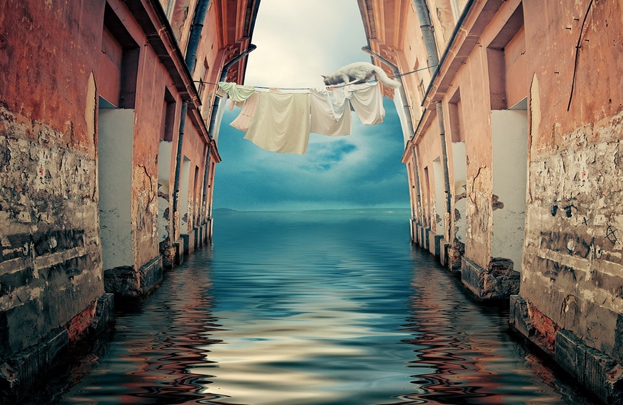 Cat on clothesline over flooded alleyway HD Wallpaper