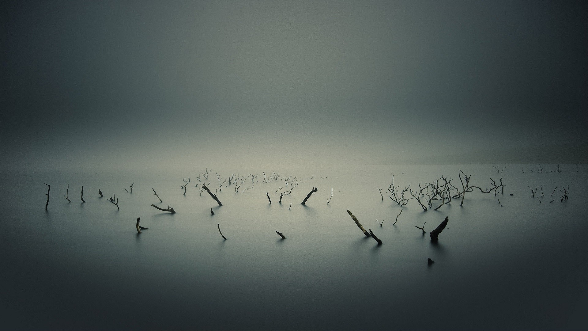 Minimalist long exposure landscape with dead trees in water HD Wallpaper