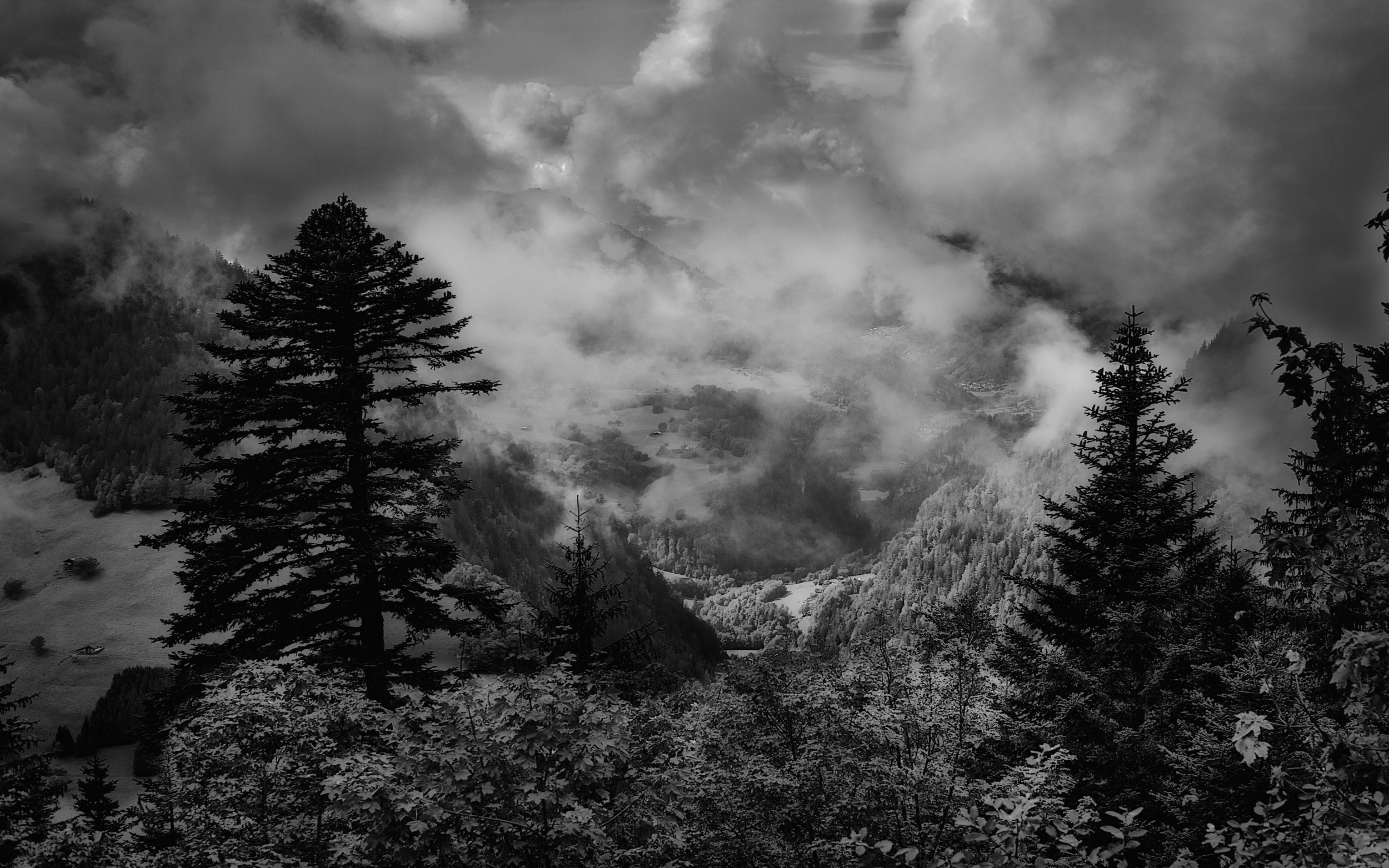 Misty Mountains and Forest in Monochrome HD Wallpaper