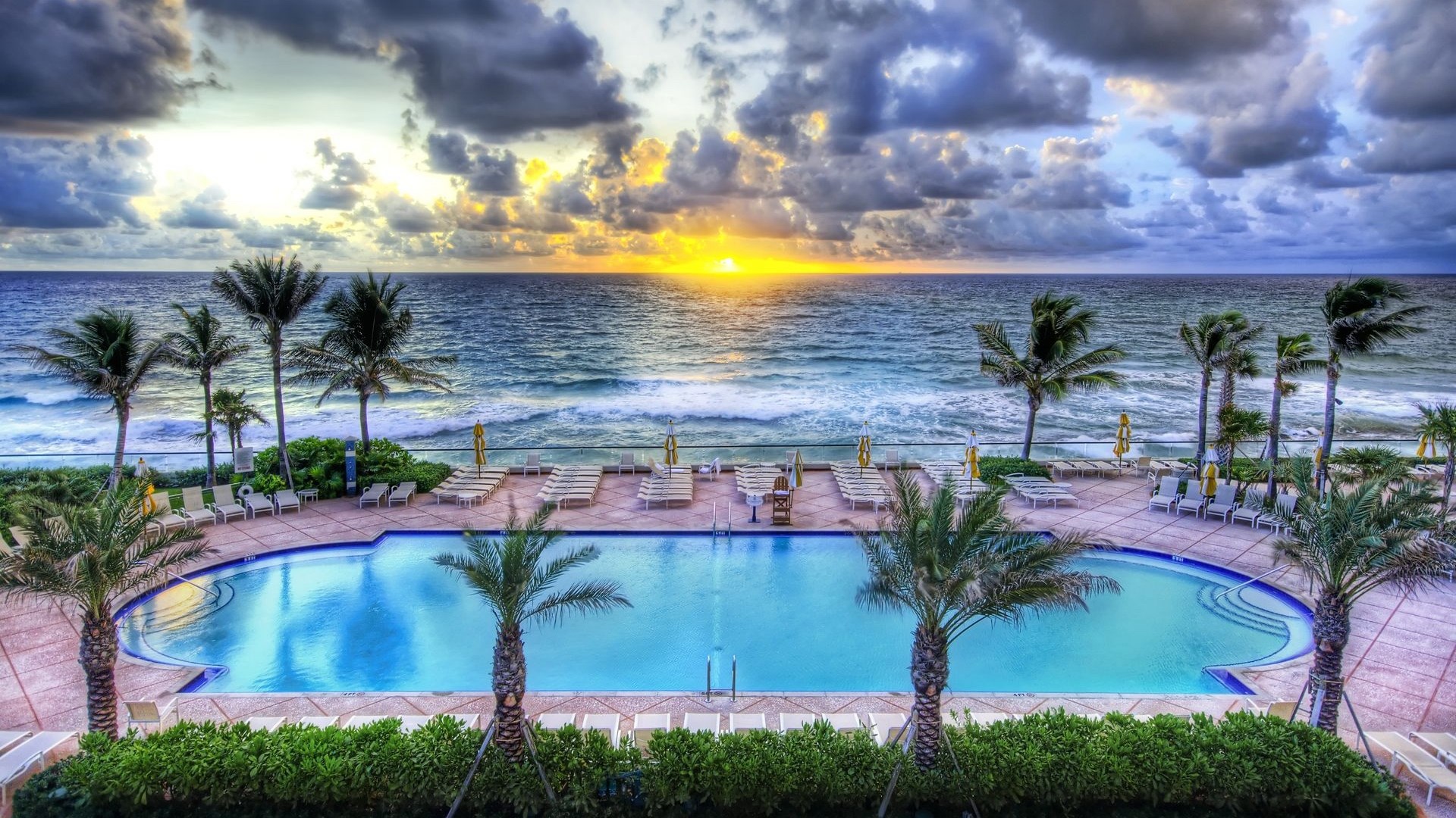 Resort pool and ocean at sunset with palm trees HD Wallpaper