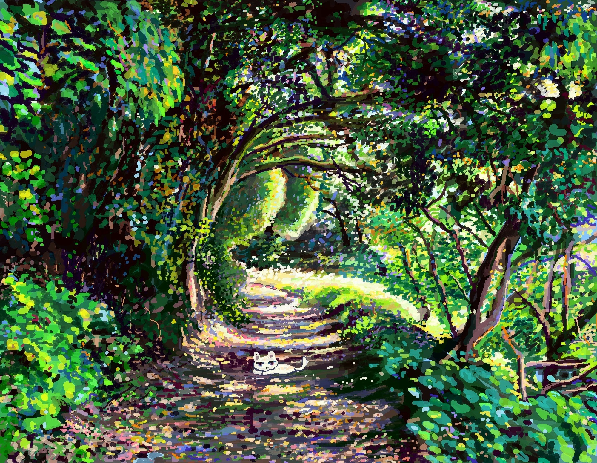 Cat on a sun-dappled forest path HD Wallpaper