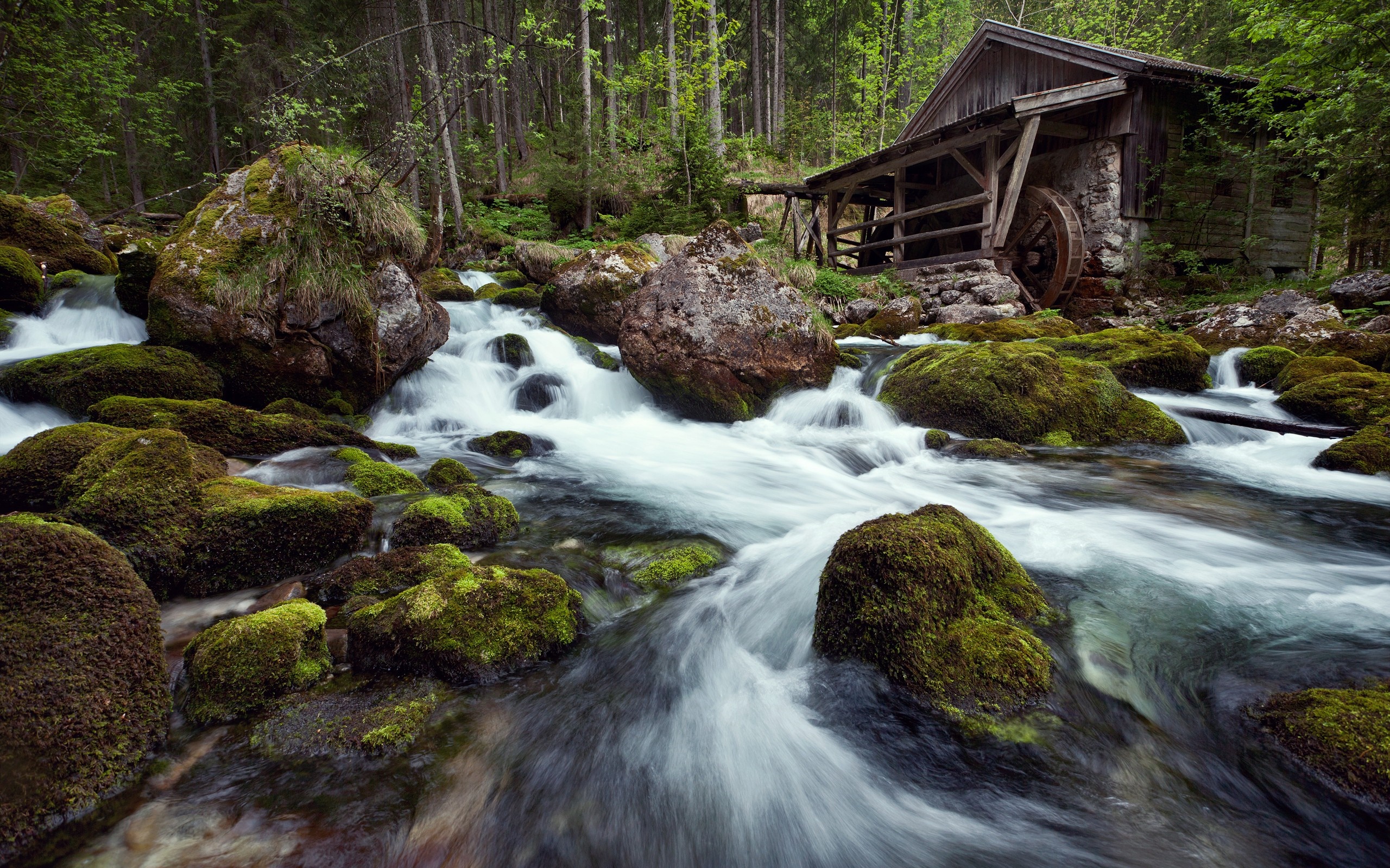 Old mill by a mossy stream in a forest HD Wallpaper