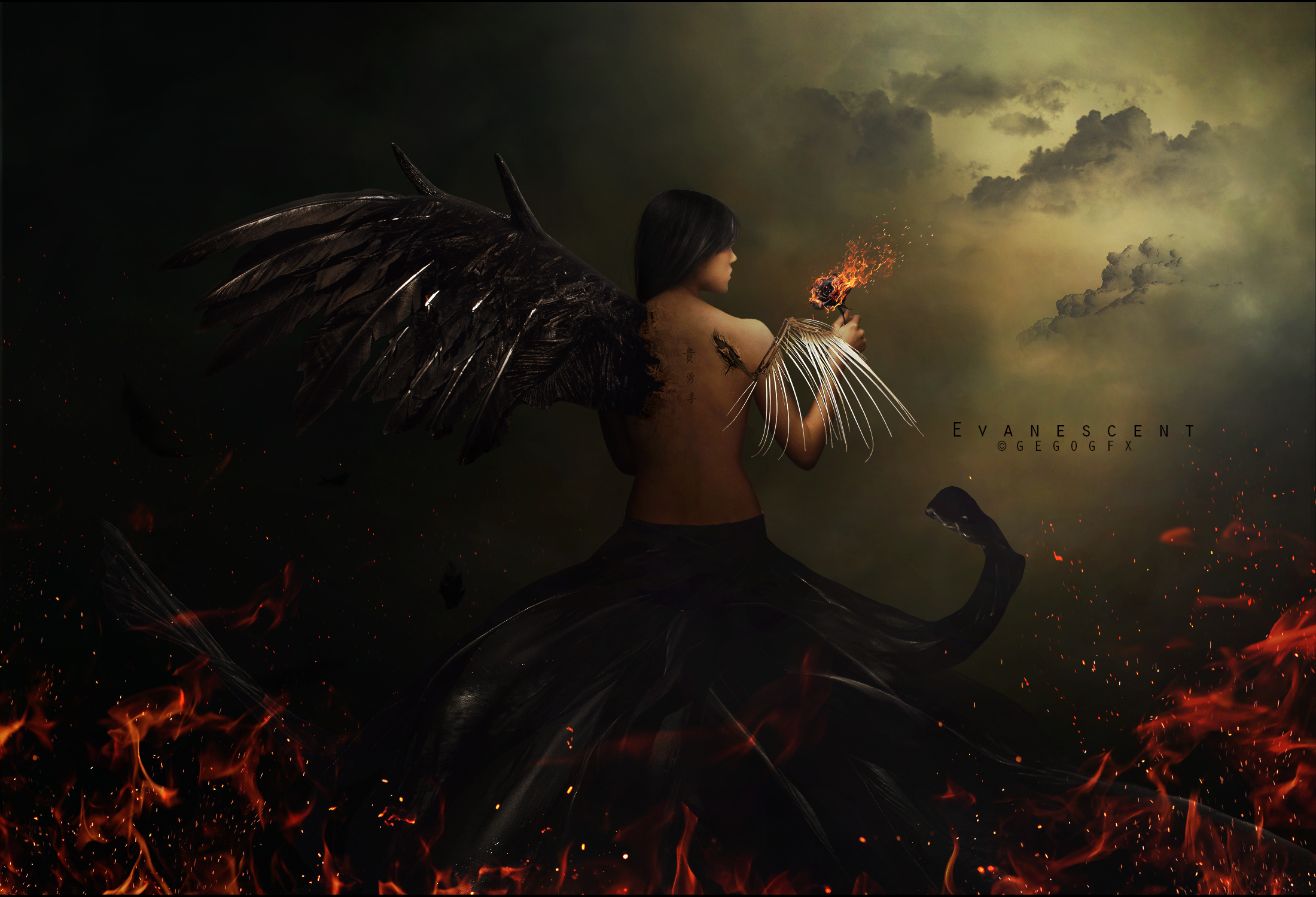 Angel with black wings holding a burning rose HD Wallpaper