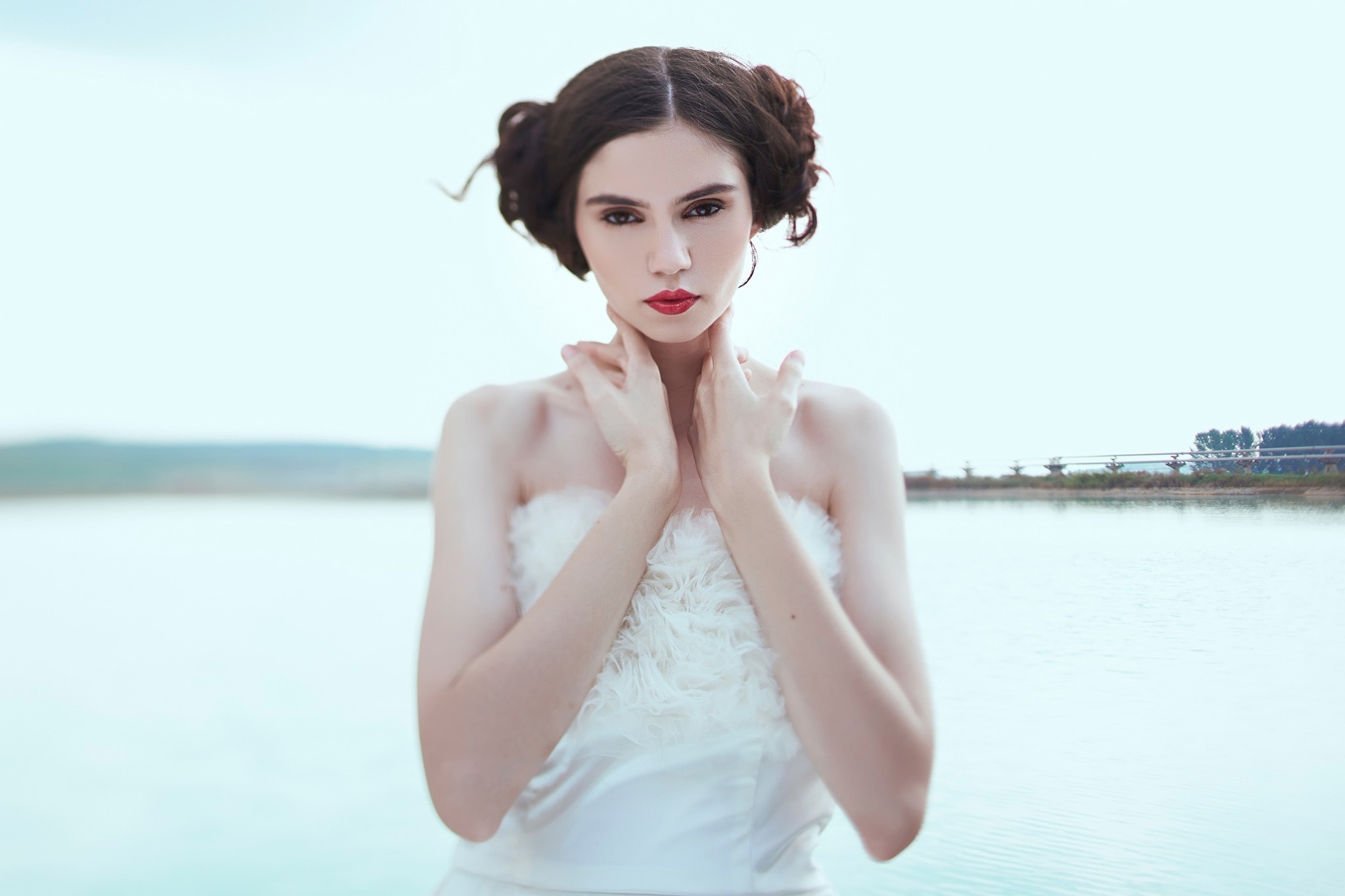 Woman with red lipstick and elaborate hairstyle HD Wallpaper