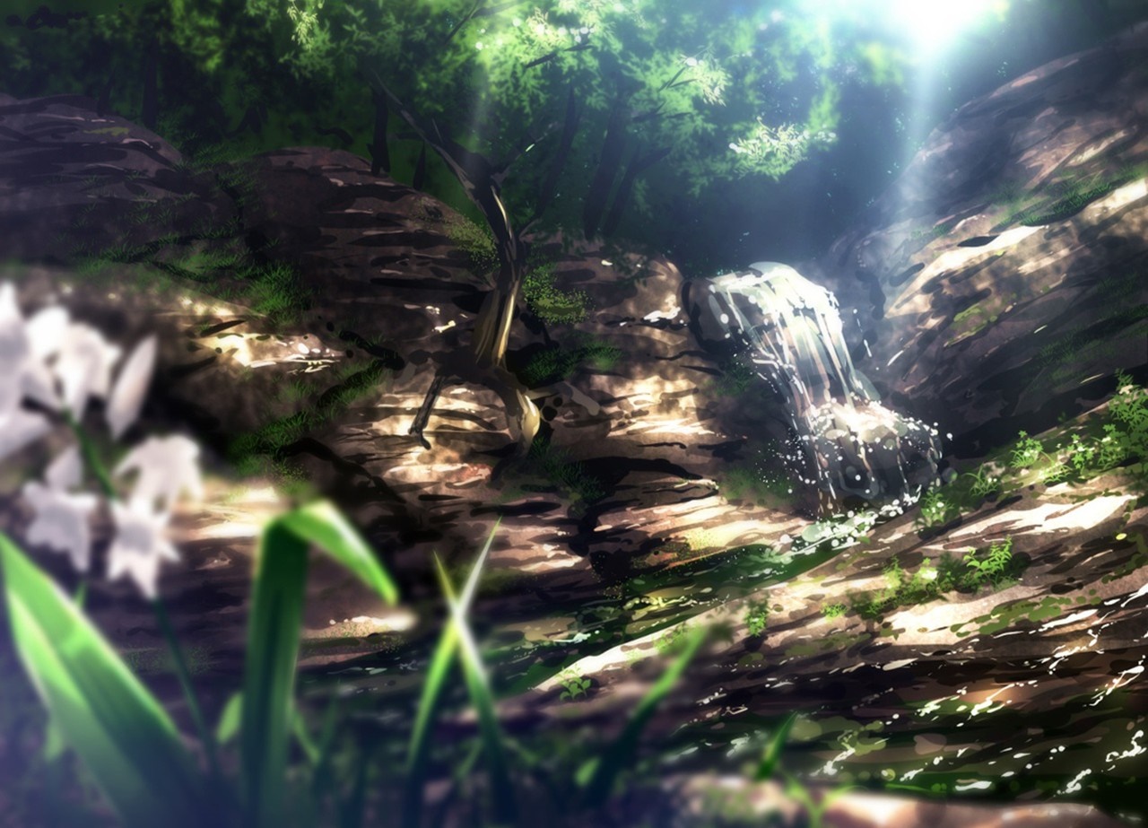 Sunlight filtering through trees onto a forest waterfall and rocks HD Wallpaper