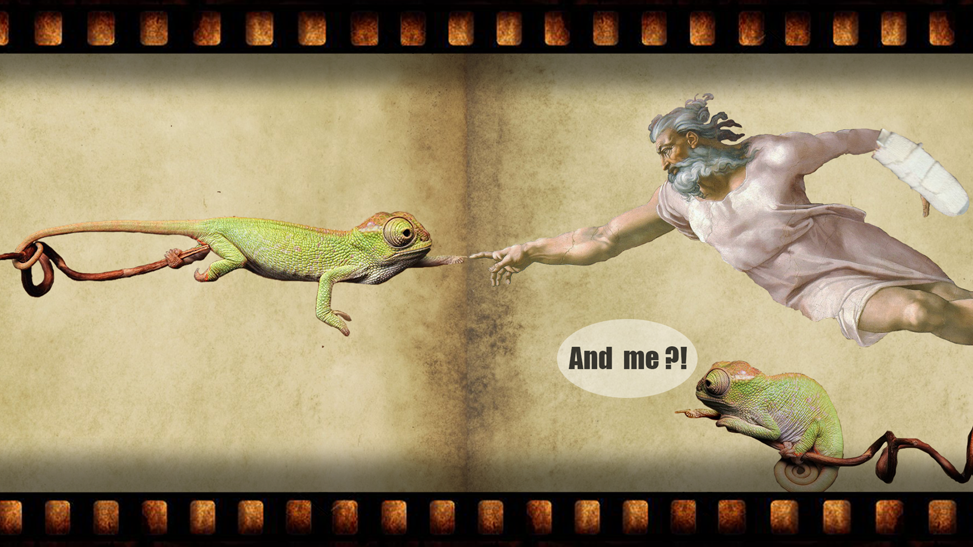 The Creation of Adam with Chameleons HD Wallpaper