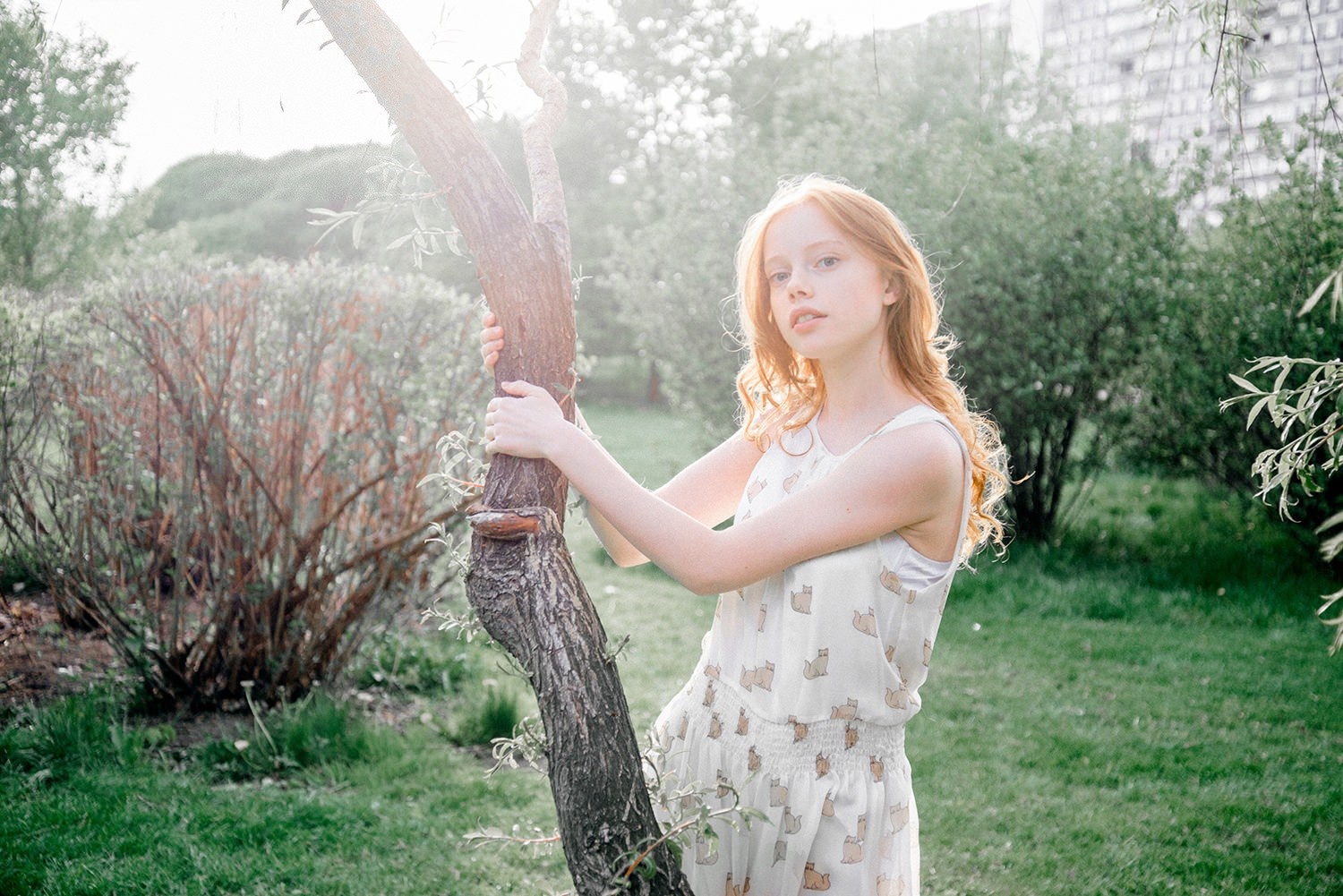 Redhead woman in a dress holding a tree outdoors HD Wallpaper