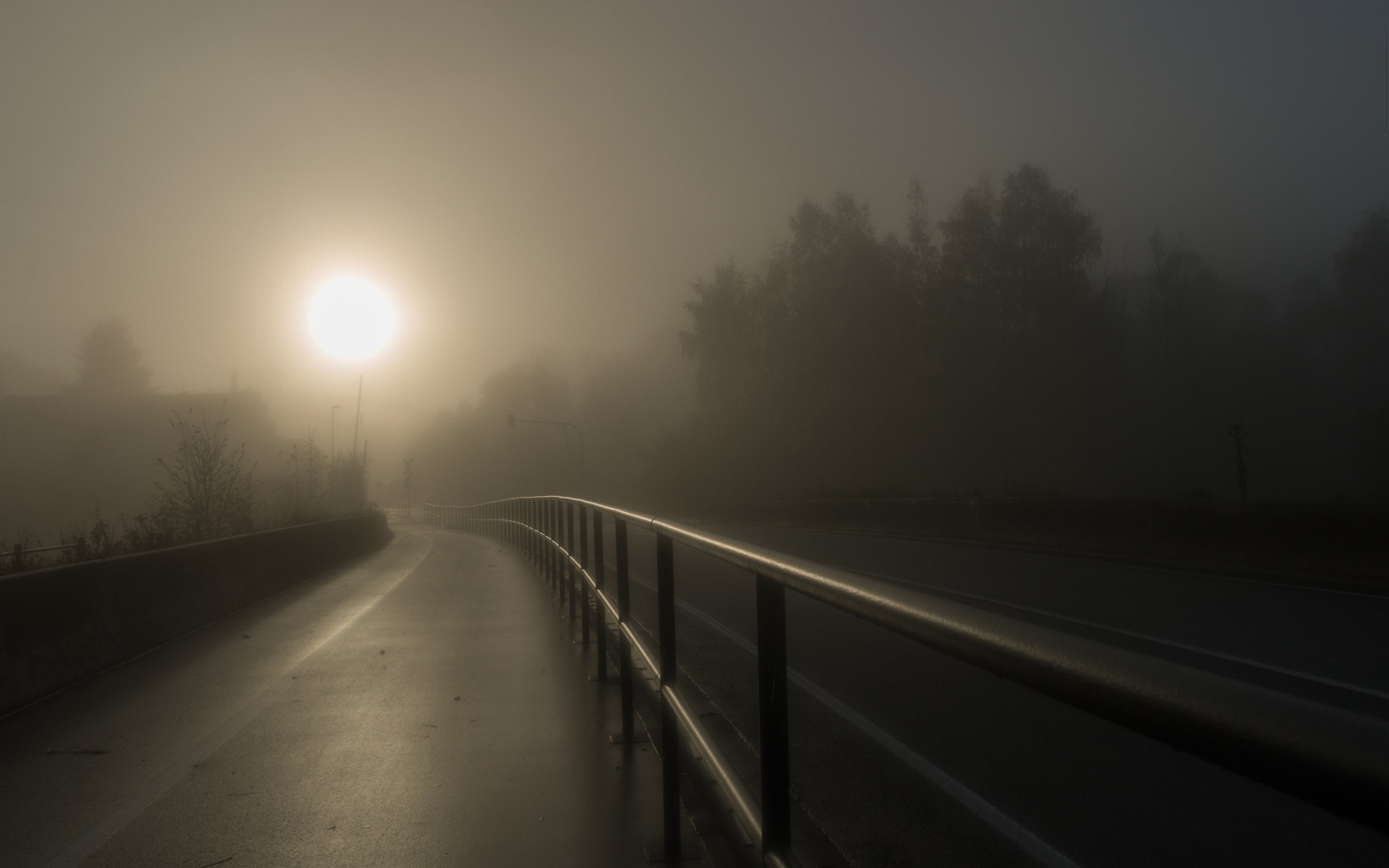 Foggy morning with sun over a bridge and road HD Wallpaper