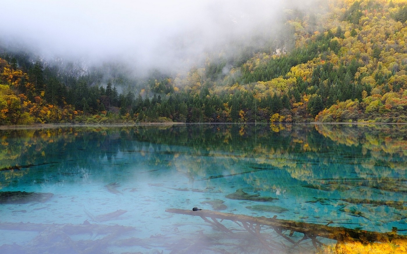 Turquoise lake with autumn forest and mist HD Wallpaper