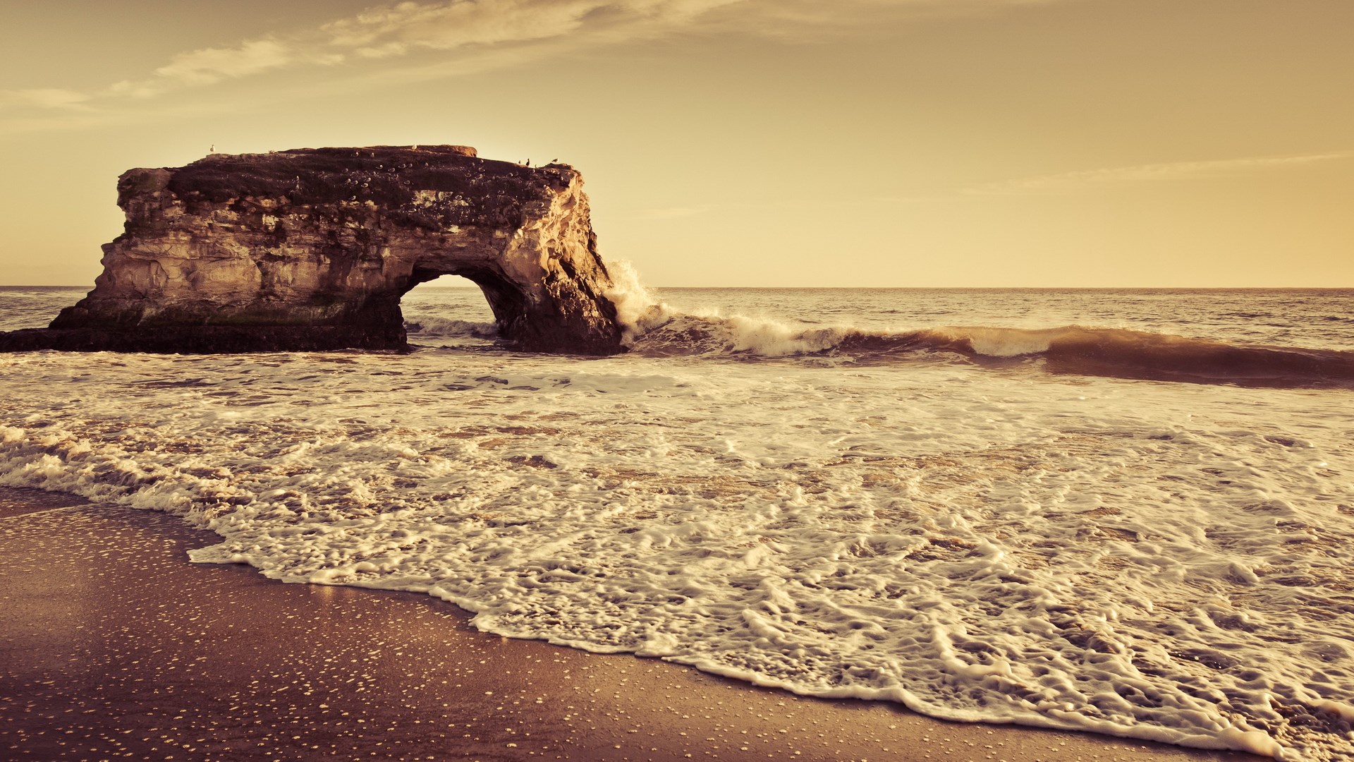 Natural Bridges State Beach, Santa Cruz, California HD Wallpaper