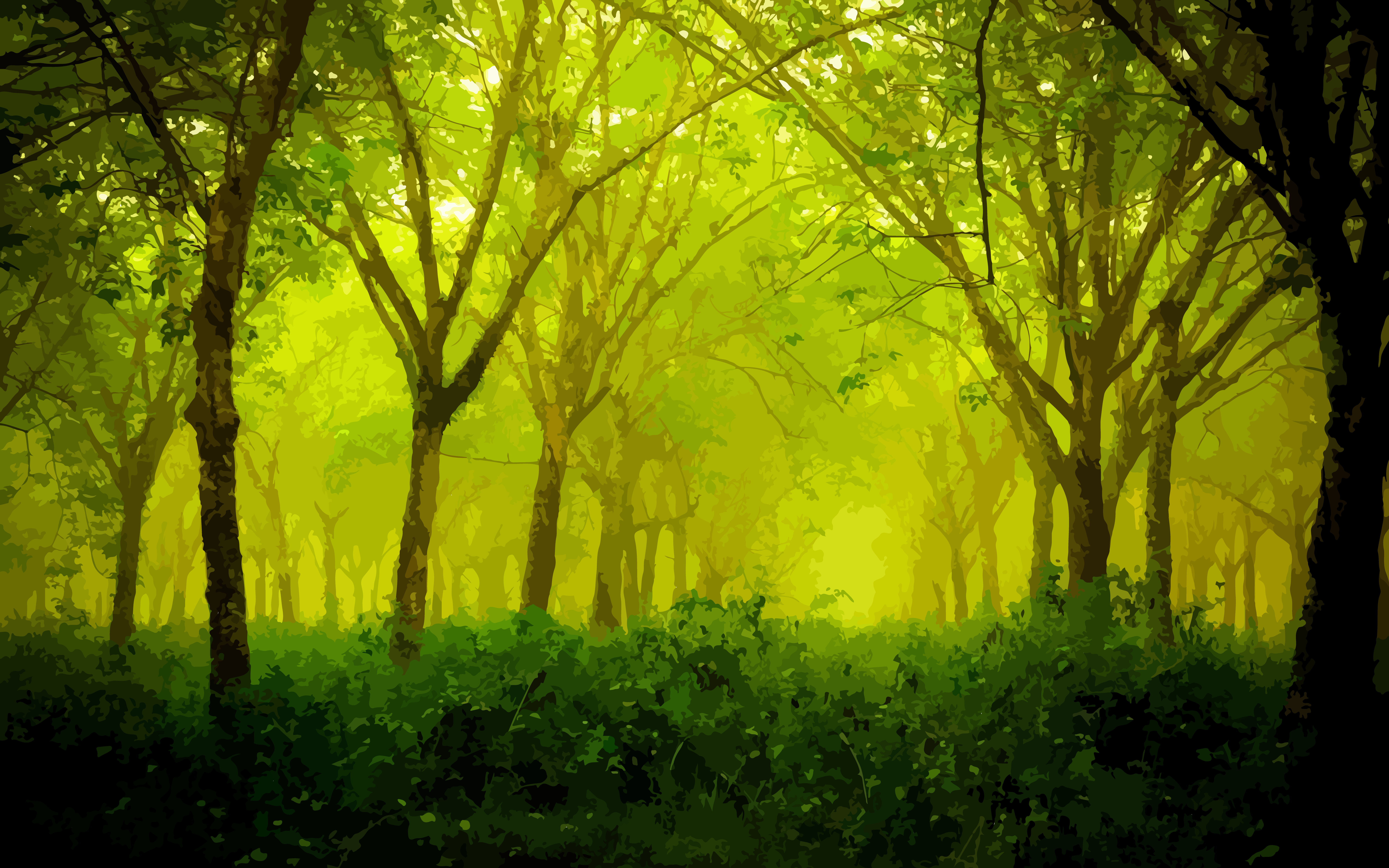 Sunlight filtering through a misty green forest HD Wallpaper