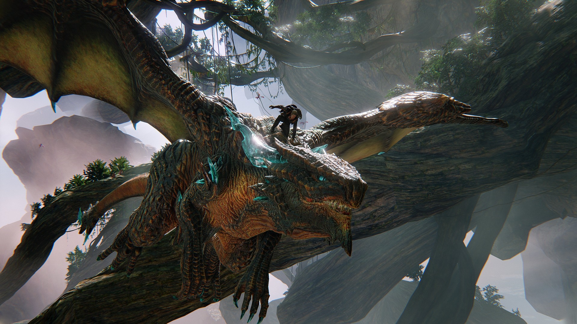 Dragon with a rider in a fantasy forest HD Wallpaper