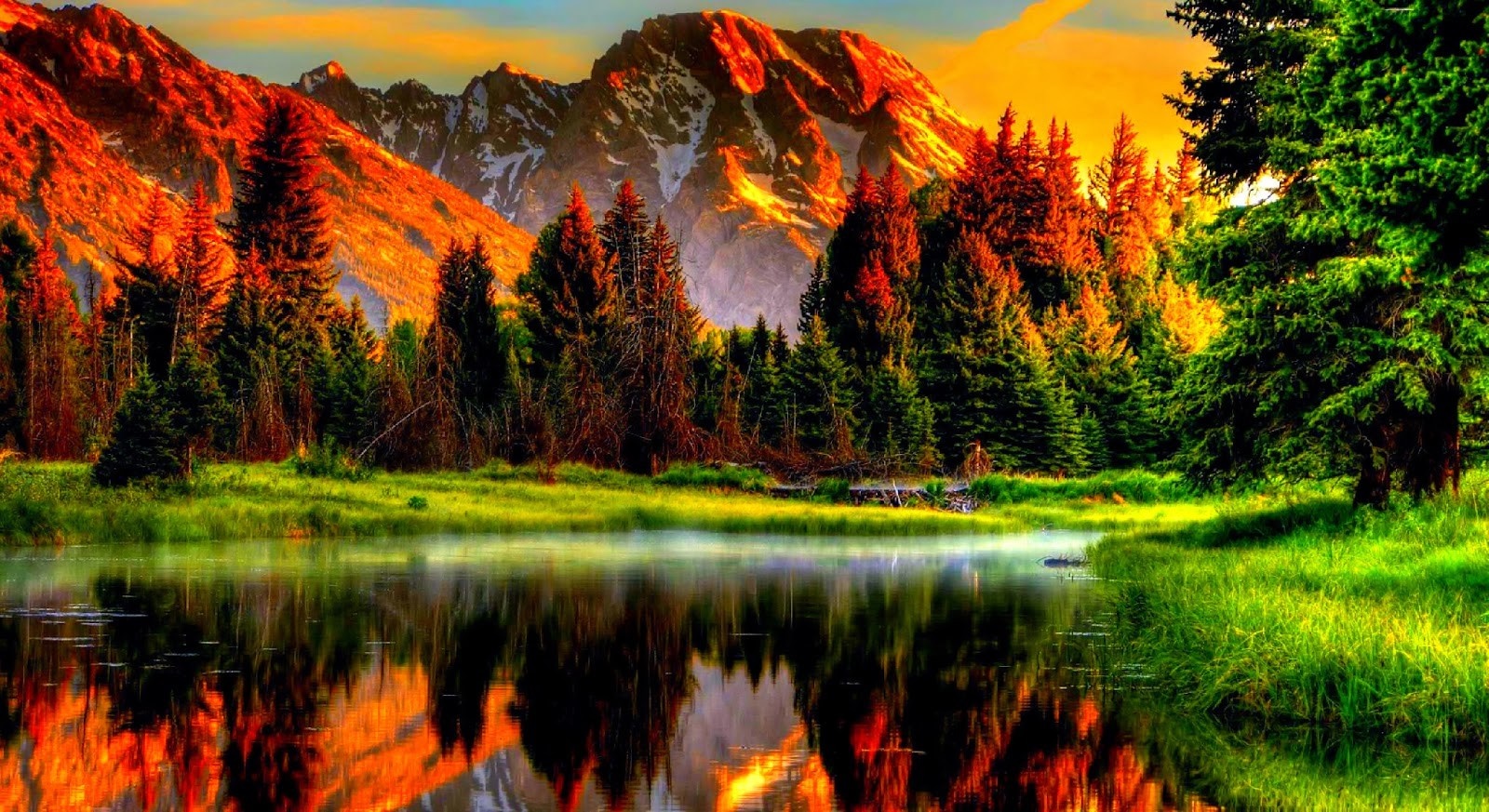 Mountain landscape with forest and lake reflection HD Wallpaper