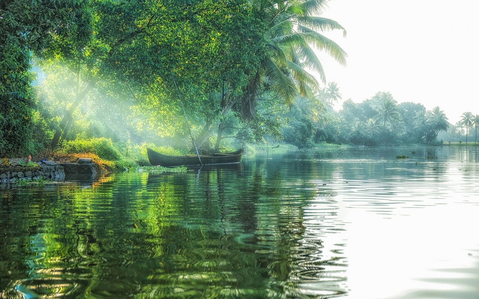 Sunlight filtering through trees onto a boat on a tropical river HD Wallpaper