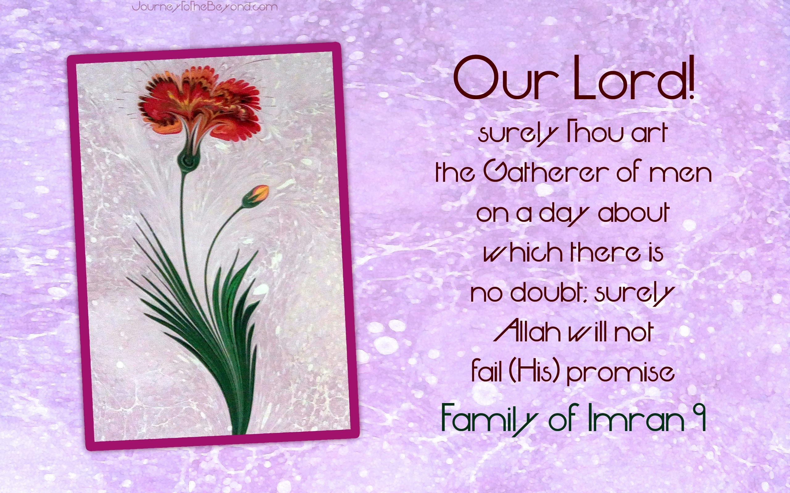 Quran verse from Family of Imran with flower art HD Wallpaper
