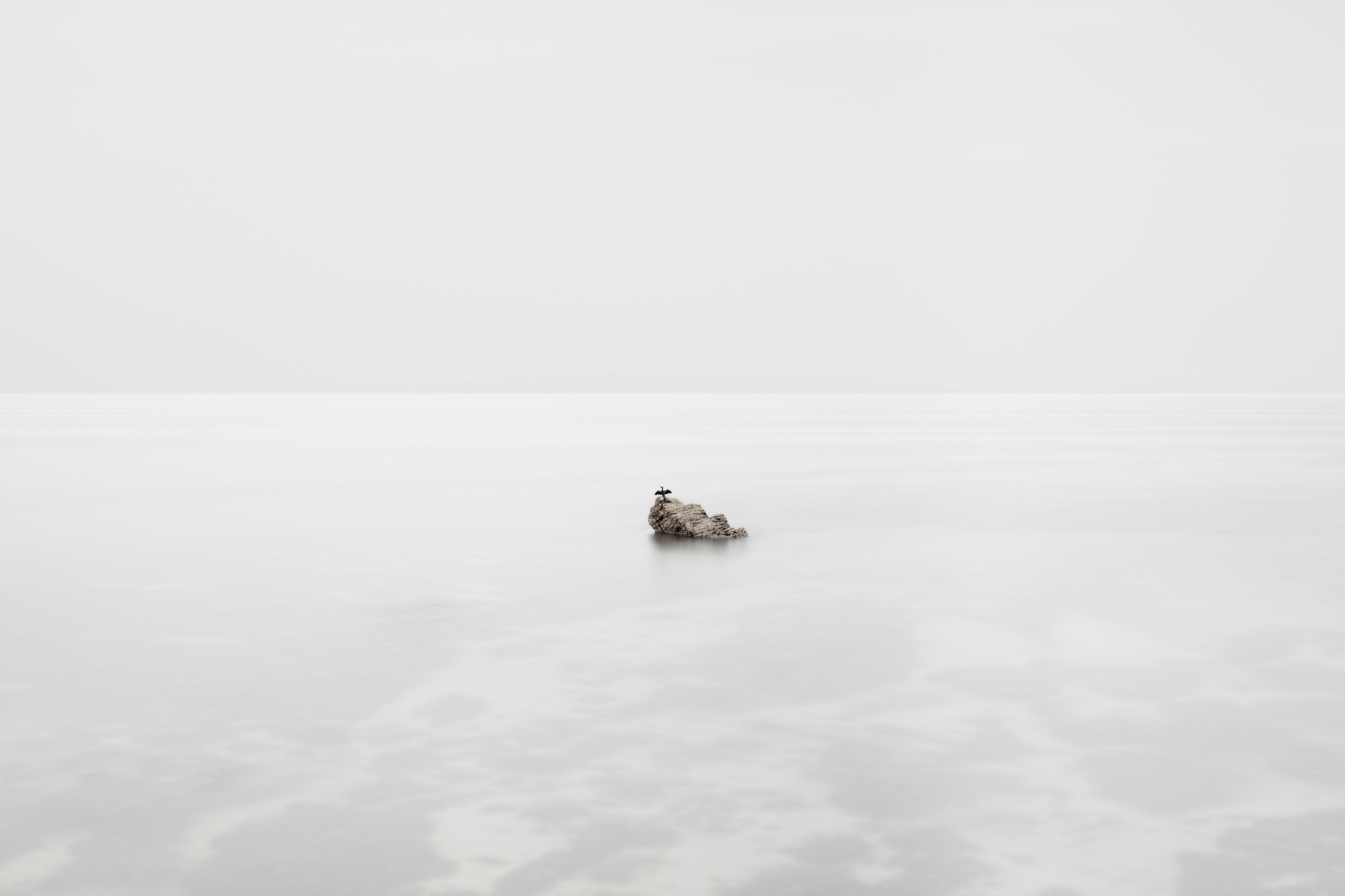 Minimalist seascape with a rock and two birds HD Wallpaper
