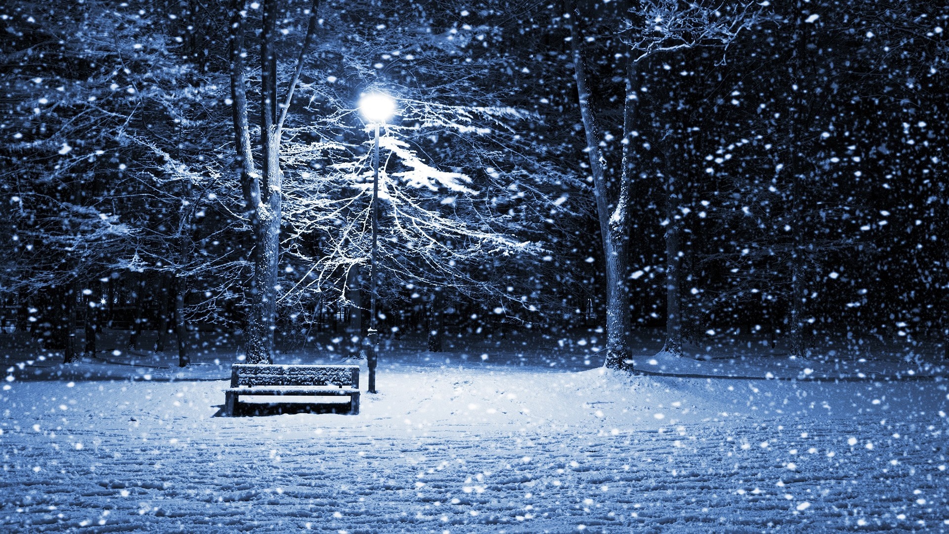 Snowy park at night with a bench and lamppost HD Wallpaper