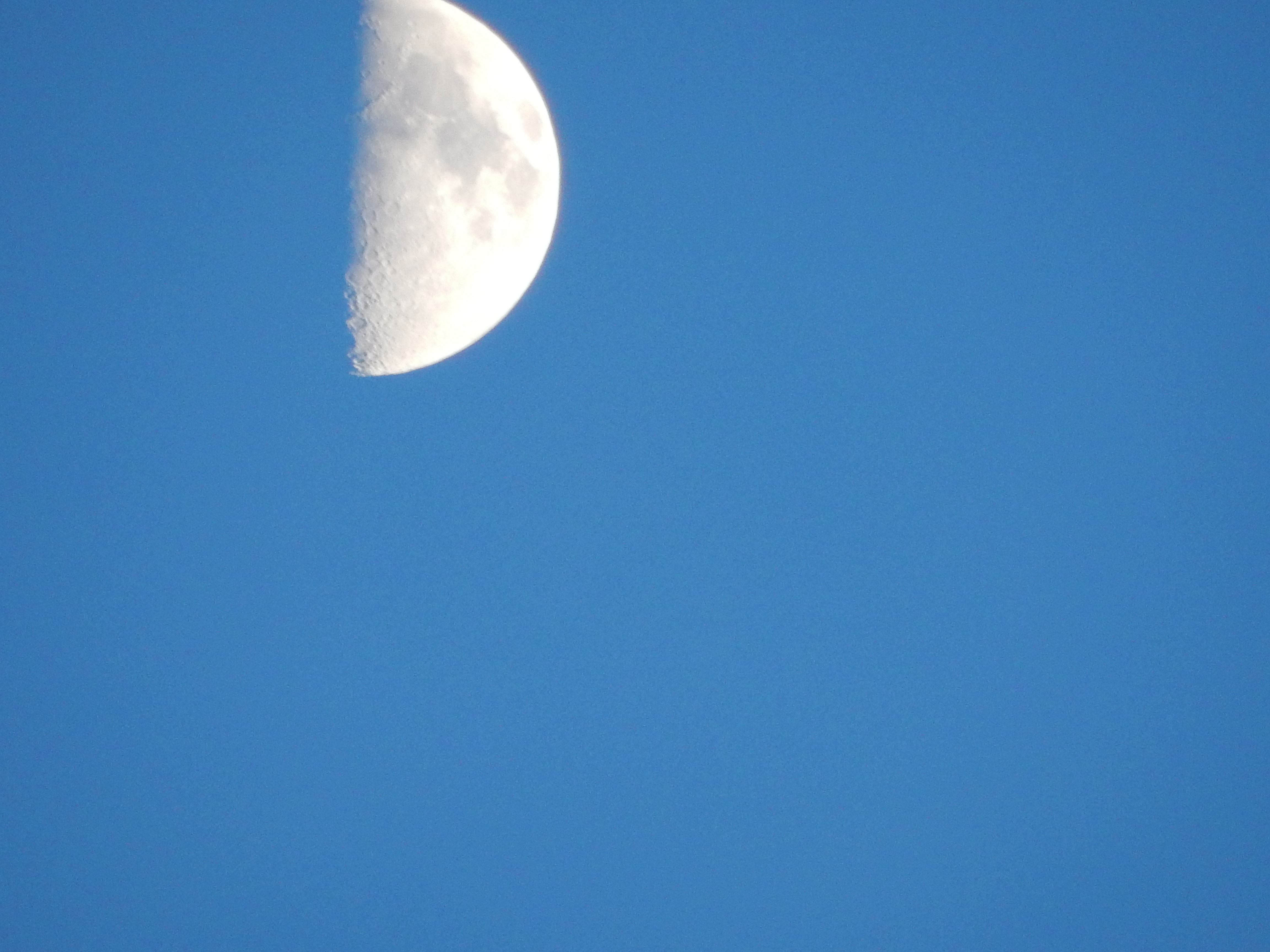 Half moon in a clear blue sky HD Wallpaper