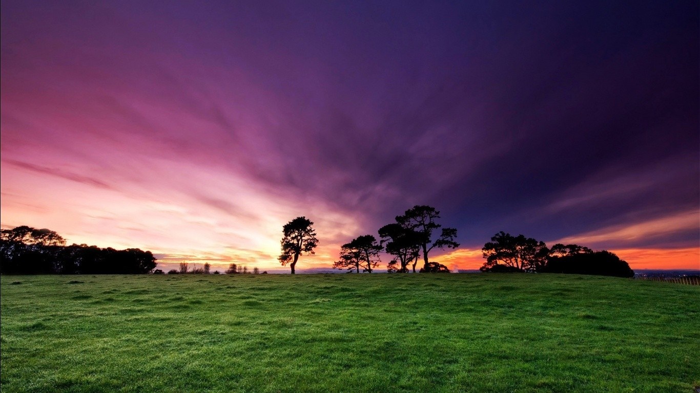 Sunset over a grassy field with silhouetted trees HD Wallpaper